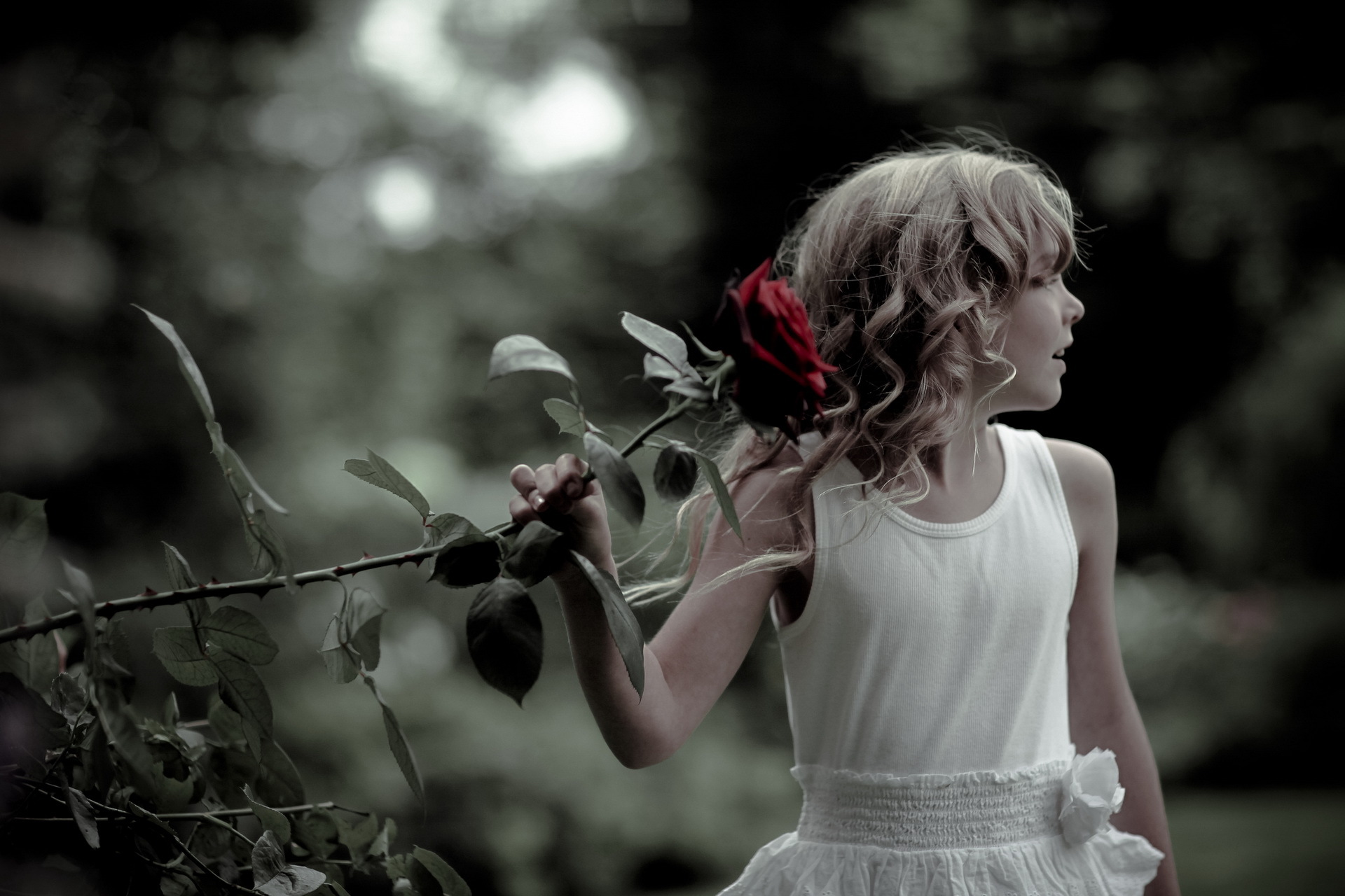 Прекрасно душный. Девушка с розой. Девушка с черной розой. Девушка с белыми розами. Девушка с одним цветком.