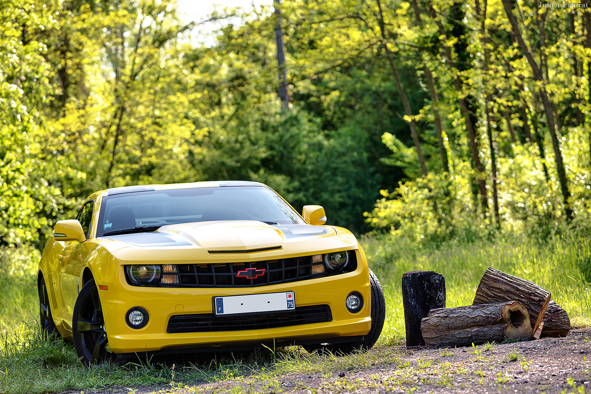 Три желтых машин. Шевроле Камаро 4. Chevrolet Camaro желтый. Шевроле Камаро желтая. Шевроле Камаро в лесу.
