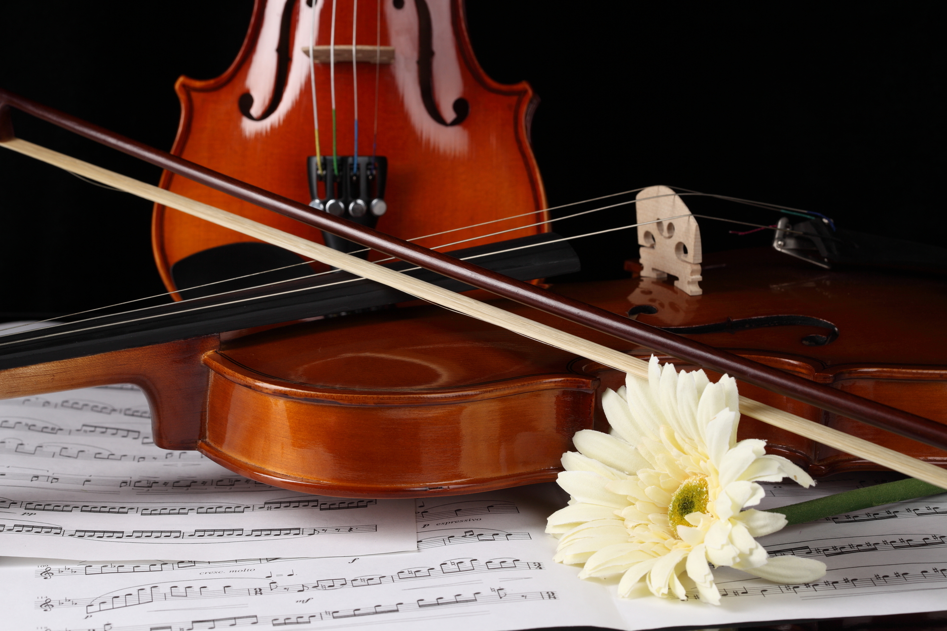 Музыкальные инструменты в классической музыке. Скрипка. Классические музыкальные инструменты. Скрипка фото. Красивая скрипка.