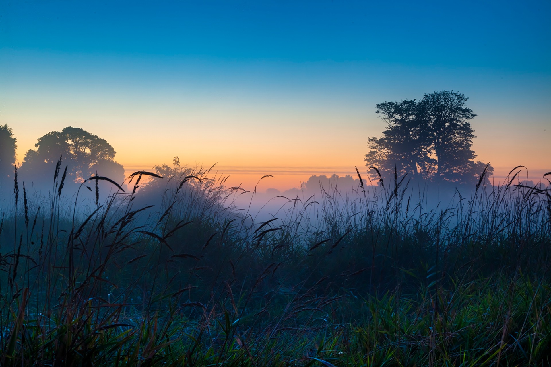 Утро четвертый. Раннее утро. Природа рассвет. Природа туман. Рассвет туман.