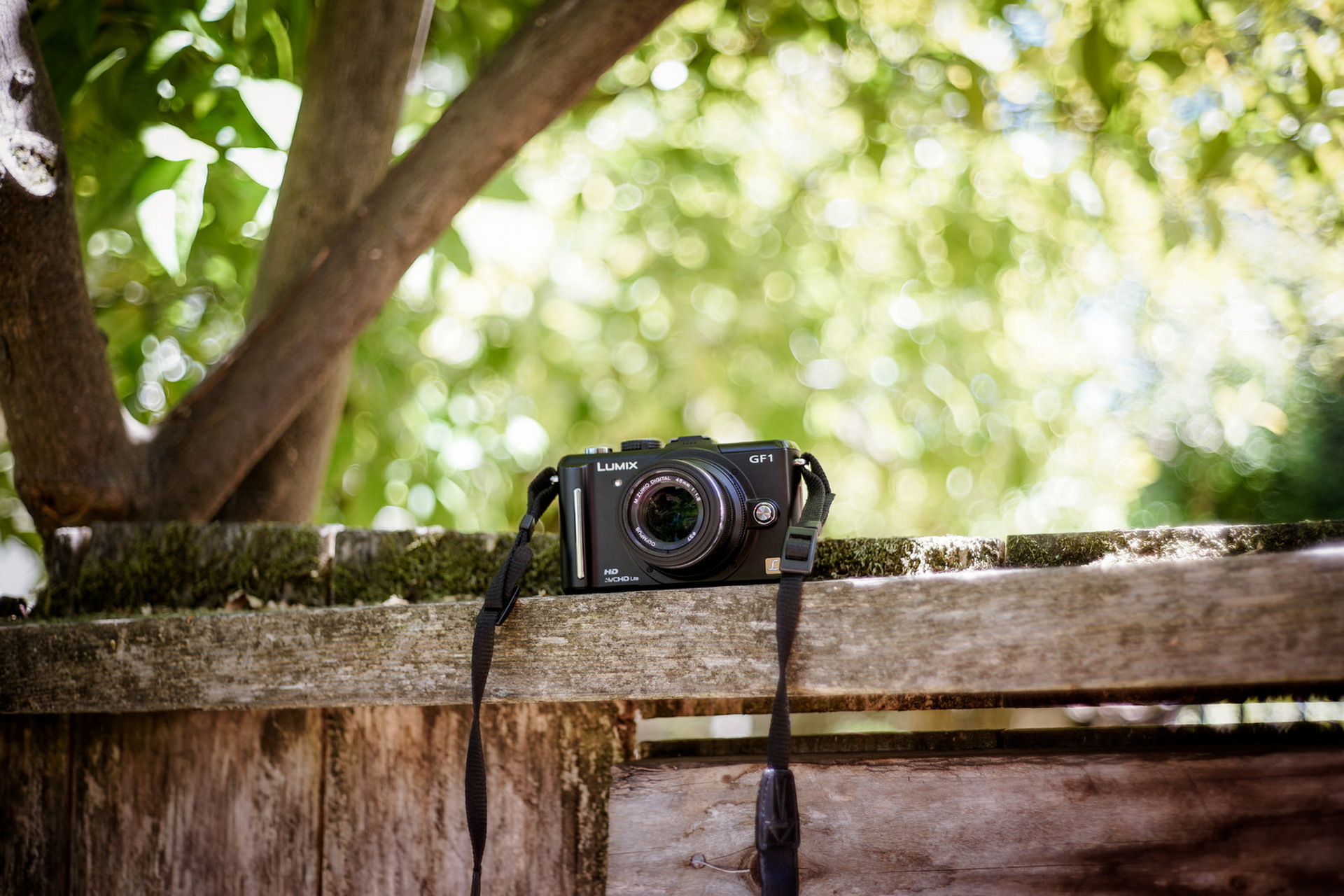 Изображение даваемое фотоаппаратом. Lumix f1 фотоаппарат. Olympus 45mm 1.8. Olympus f1.8 фотоаппарат. Фотоаппарат на природе.
