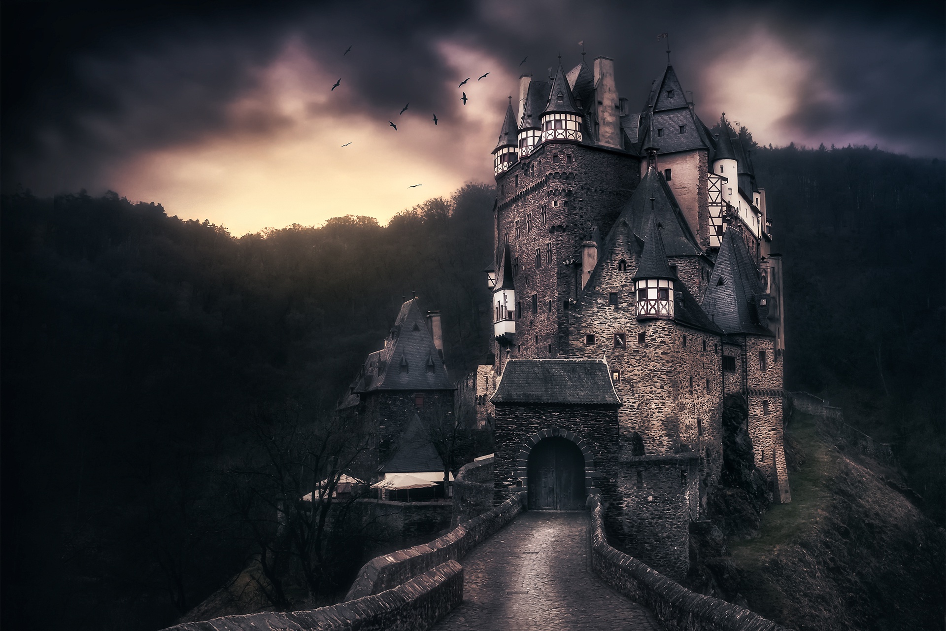 Загадочный замок. Замок Дракулы. Холодный лес Румыния замок Дракулы.