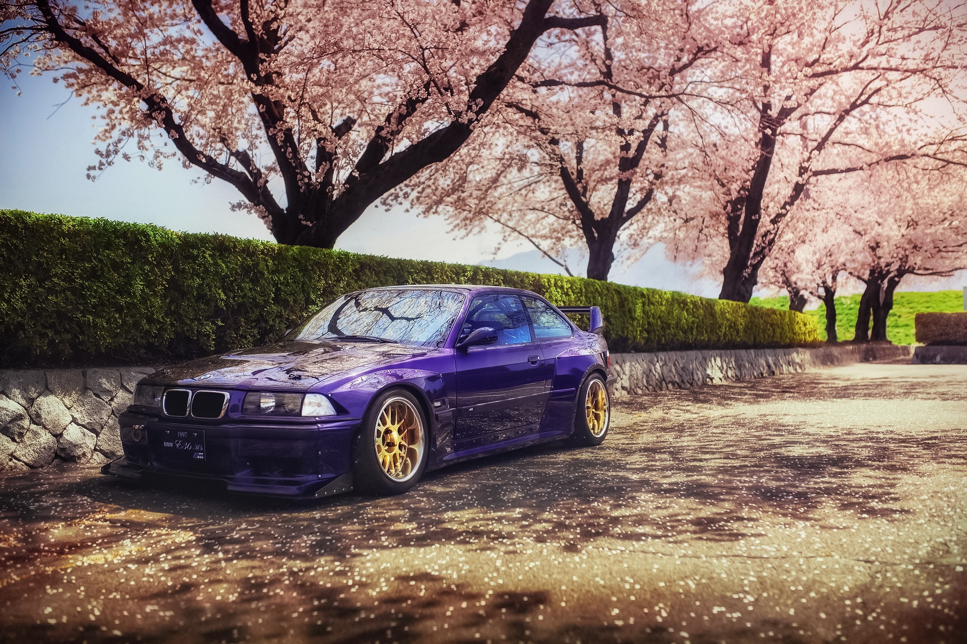 BMW m3 Violet