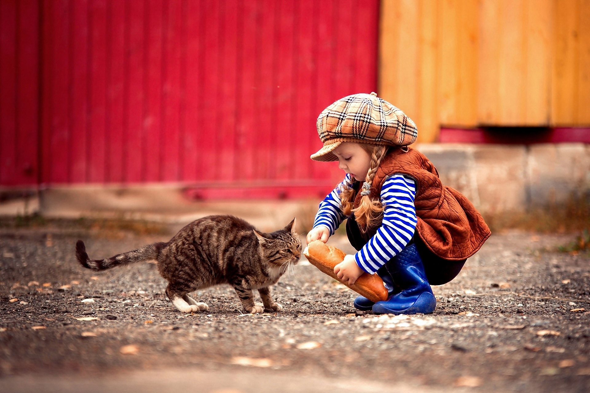 Помоги выбрать кота. Доброта к животным. Дети заботятся о животных. Дети и животные доброта. Дети и бездомные животные.