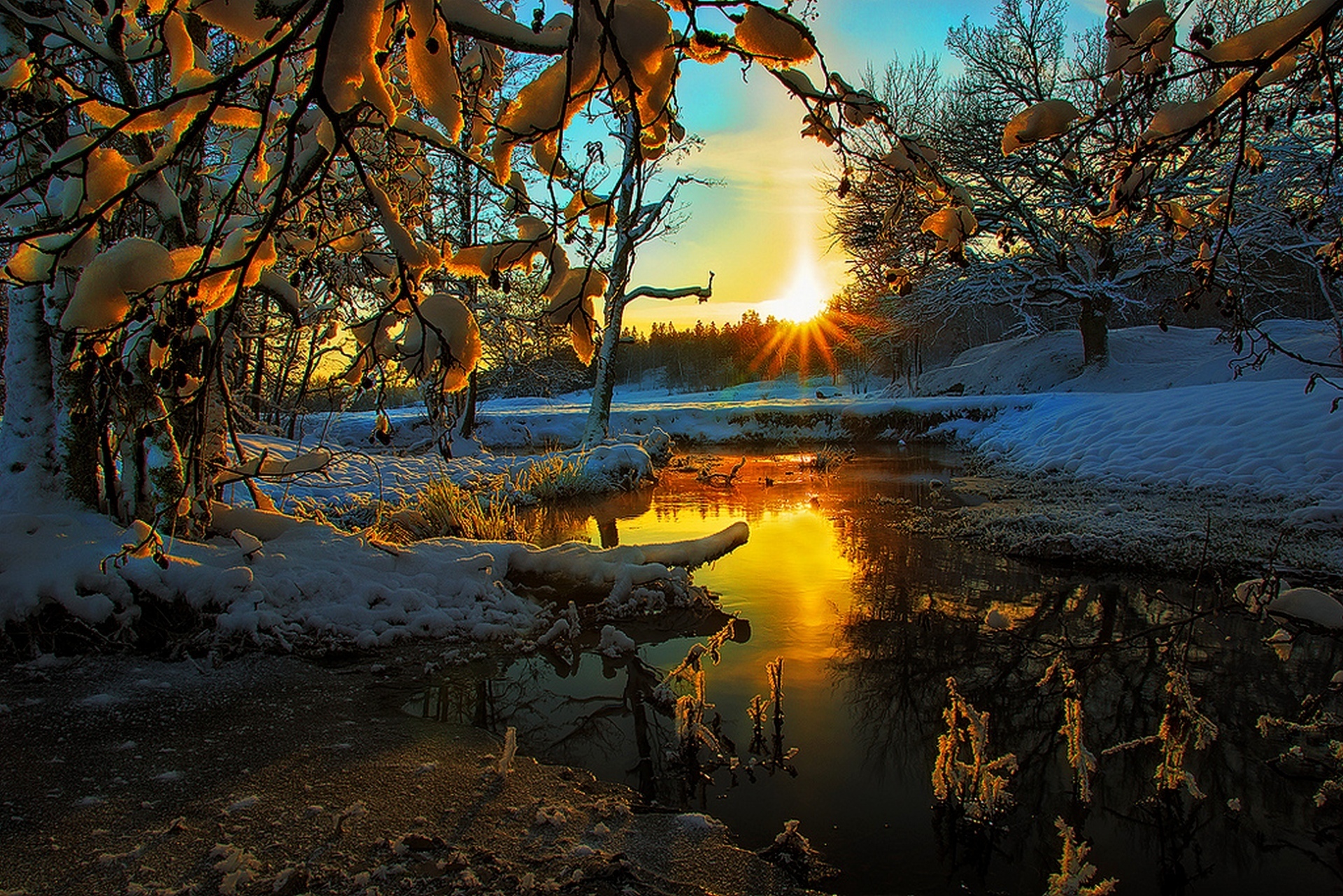 День пробуждения природы. Ранняя зима. Красивые пейзажи ранней весны. Природа ранняя зима.