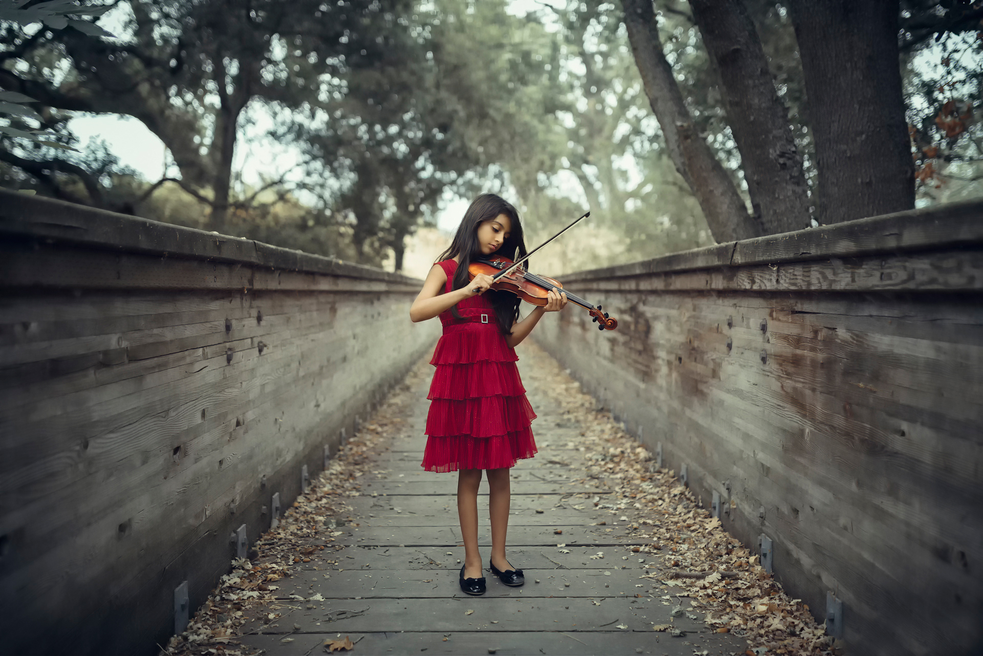 Длинная скрипка. Девушки со скрипкой. Девочка со скрипкой.