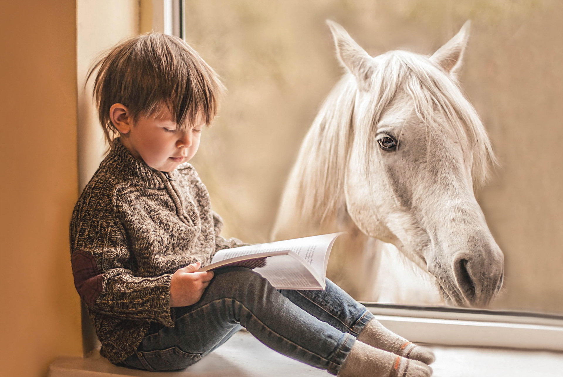 Читать про лошадей