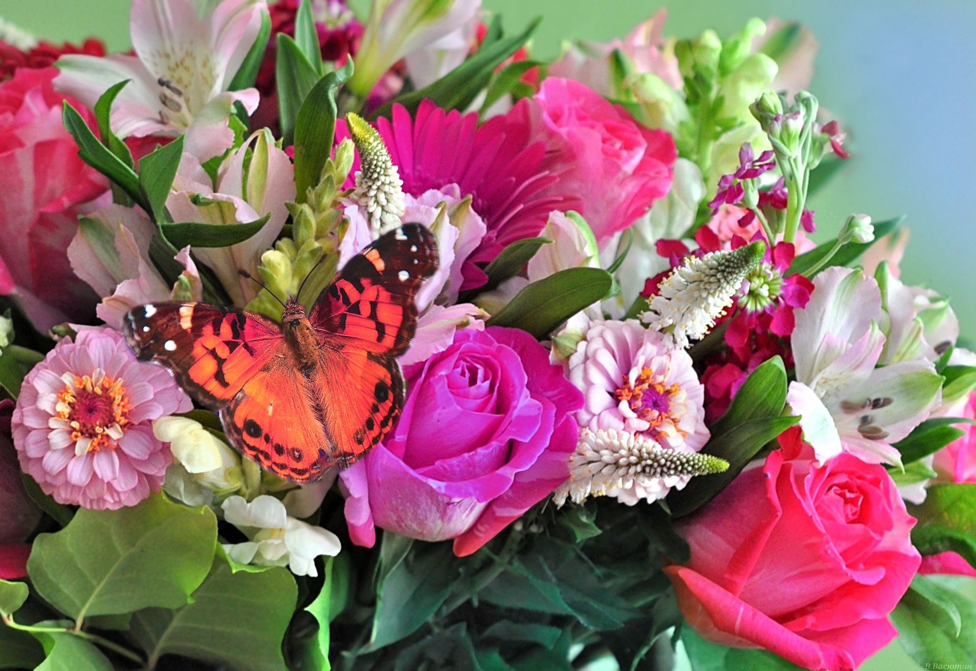 Живые бабочки с цветами. Красивый букет. Красивые цветы. Бабочка на цветке. Букет и бабочка.
