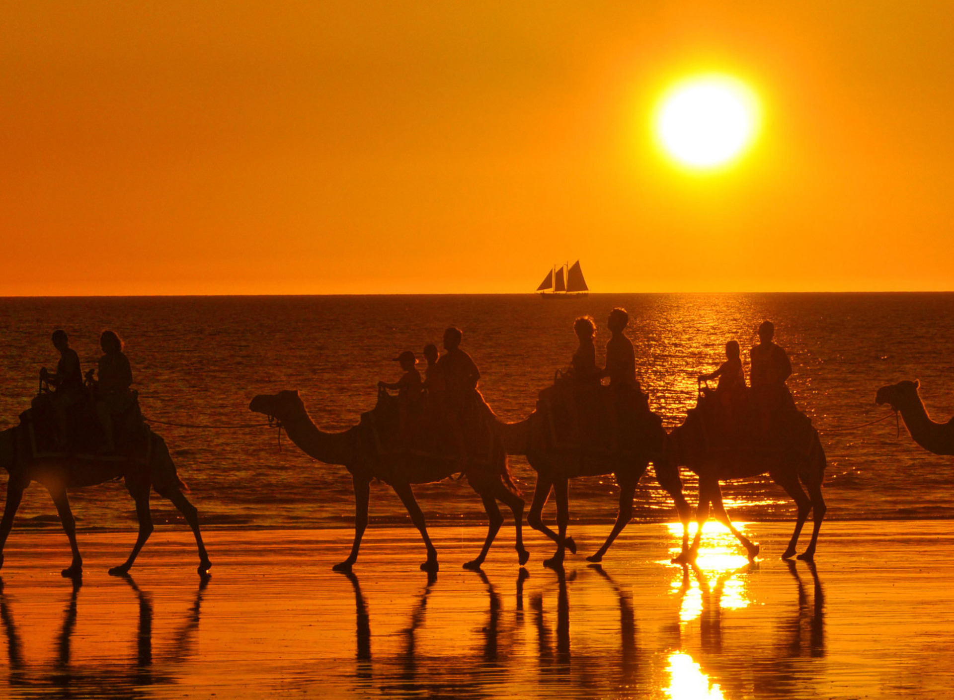 Караван солнца. Тунис Караван. Верблюд на закате. Караван верблюдов. Караван в пустыне.