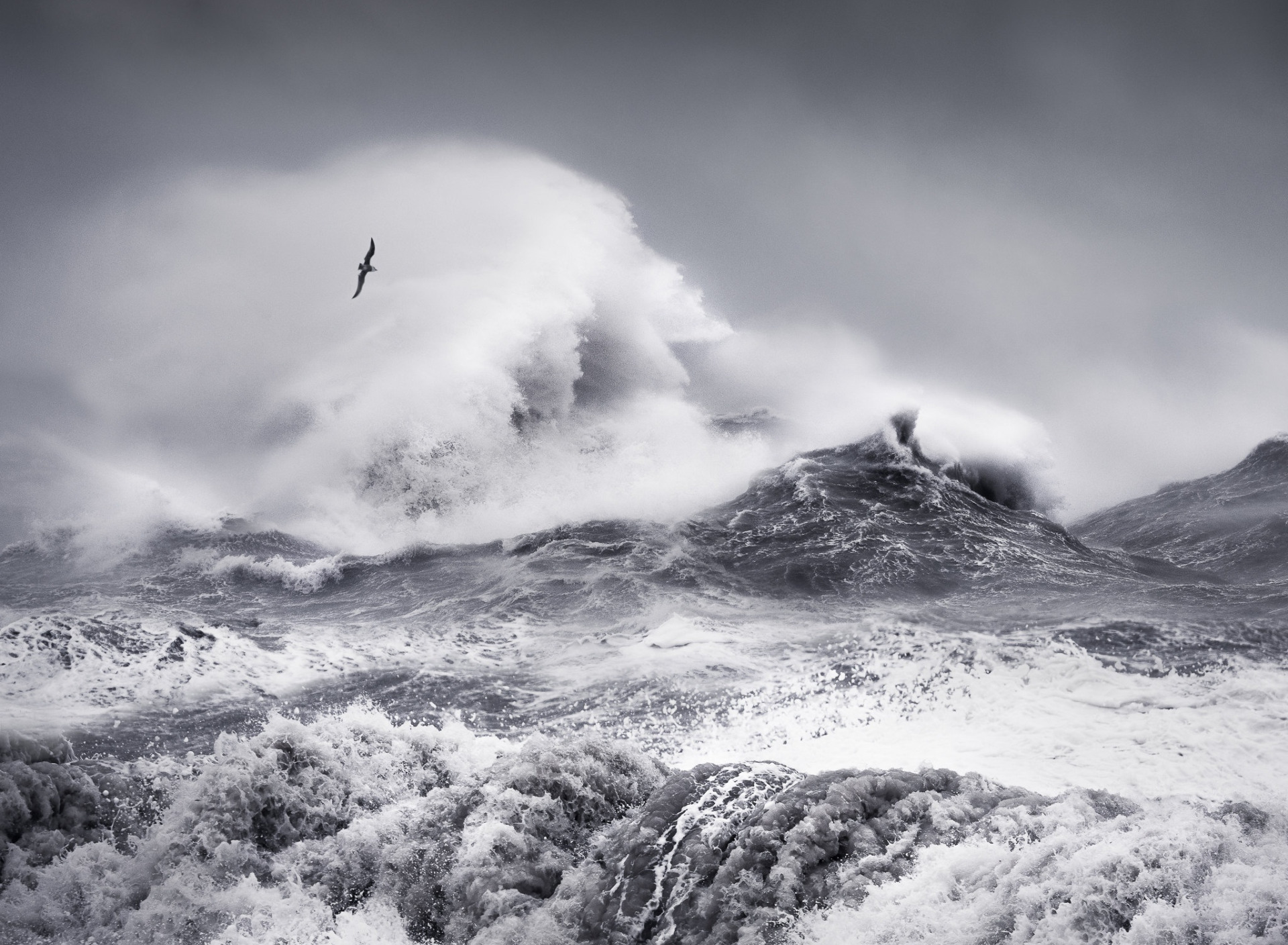 Бушующее море. Море шторм. Бушующее море и скалы. Черно белый шторм.