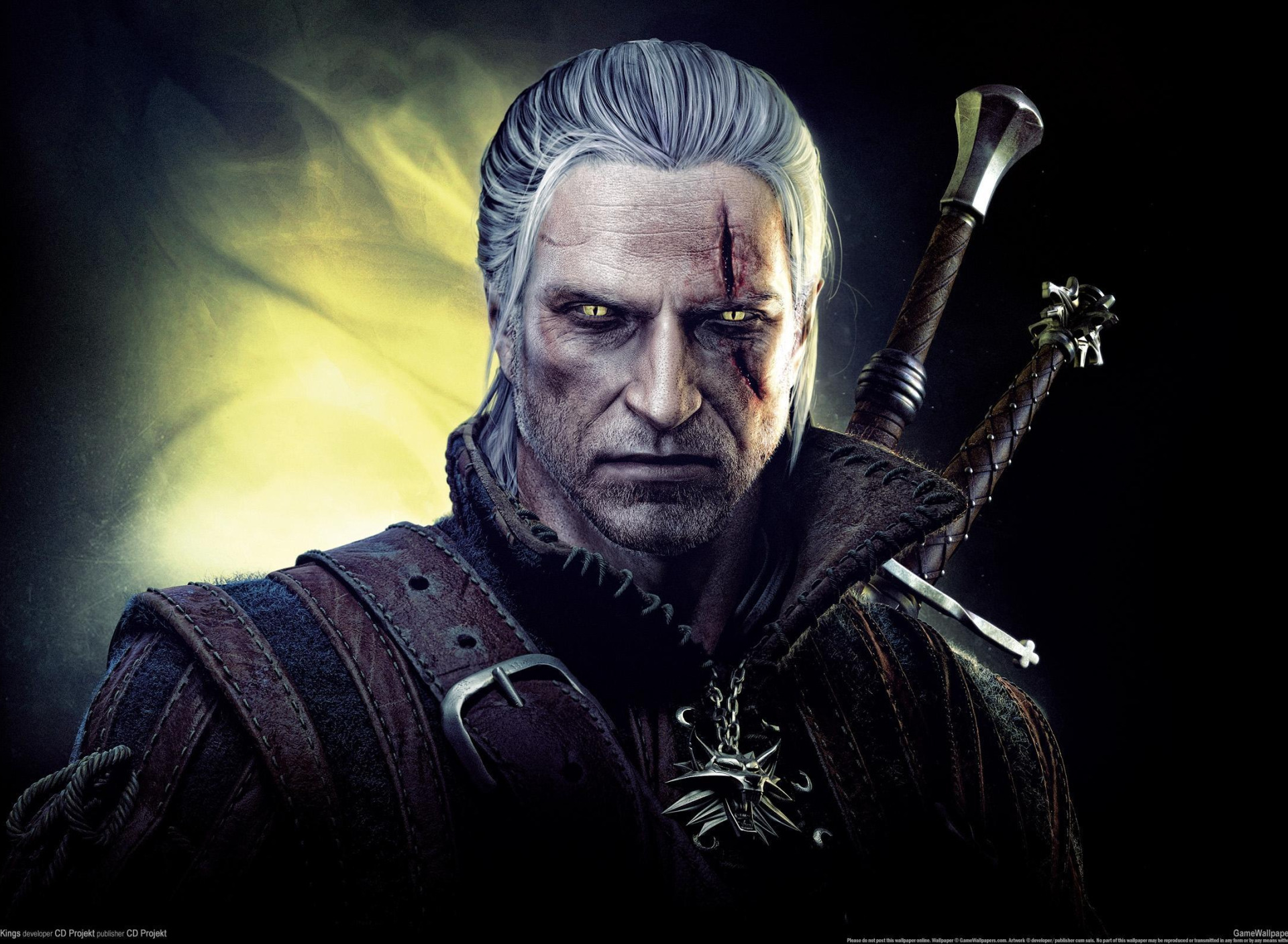 The witcher 3 trainer download фото 75