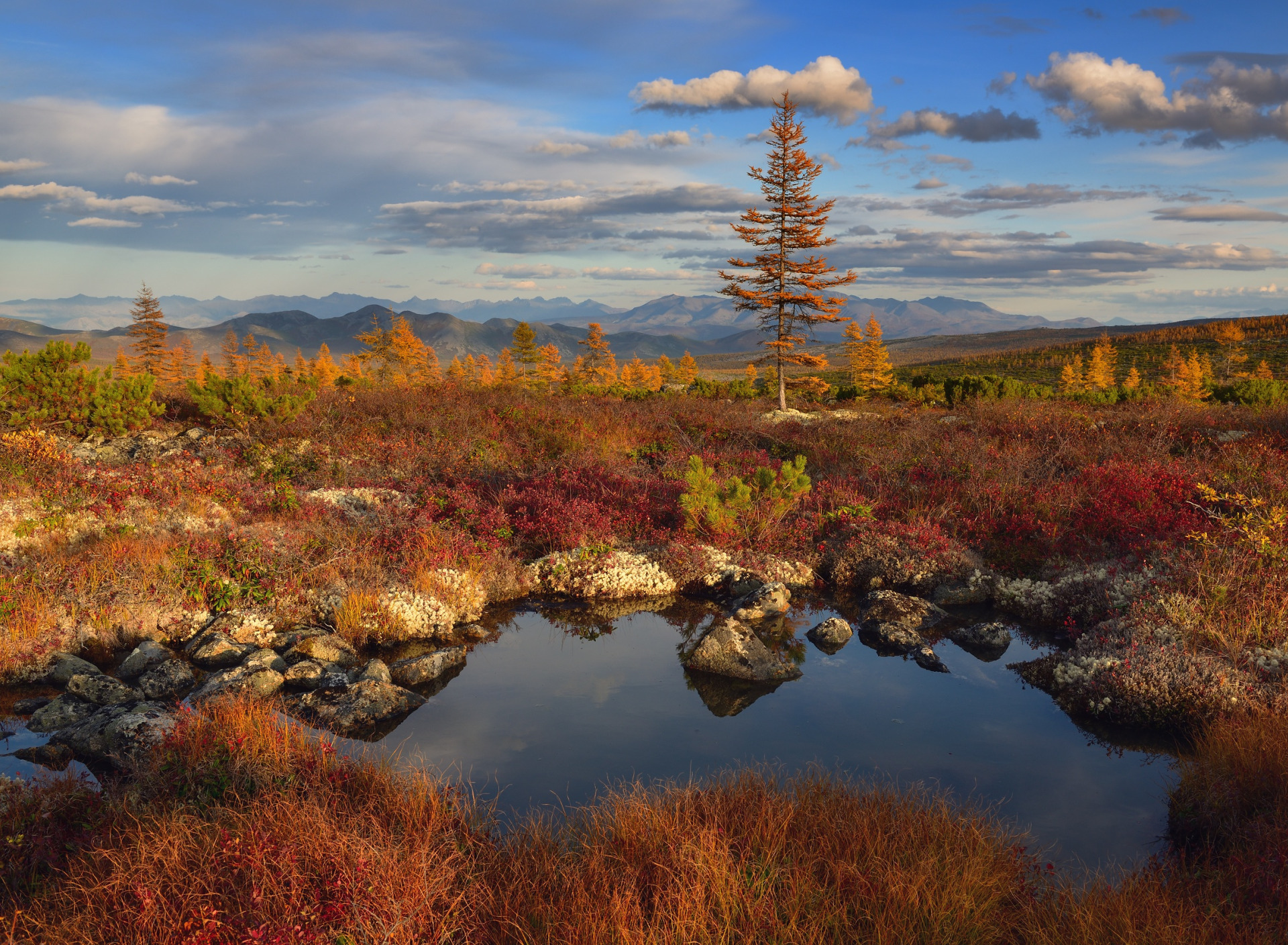 осень не за горами