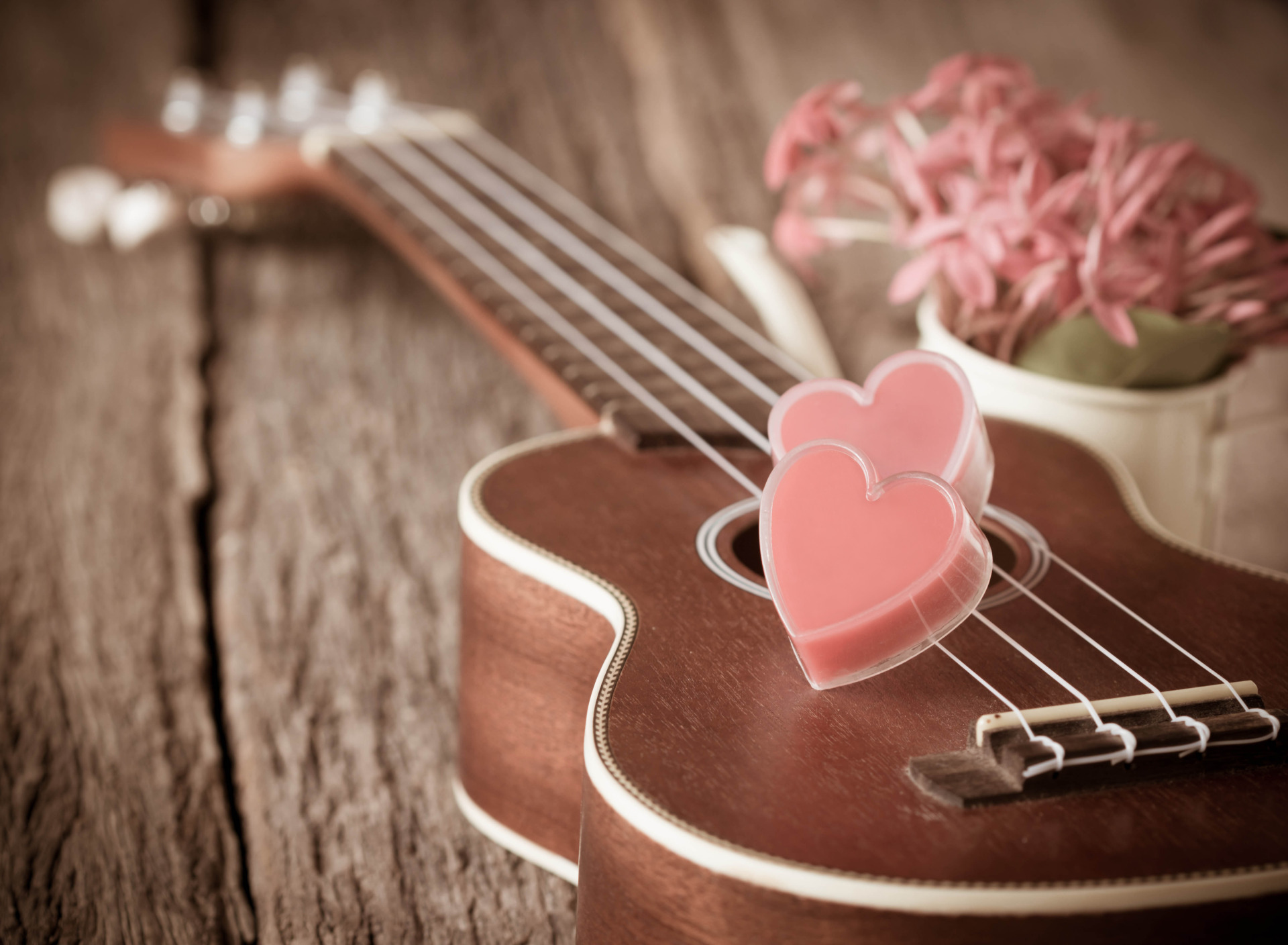 Гитара. Романтические обои на рабочий стол. Музыкальные инструменты и цветы. Гитара обои. Гитара лов
