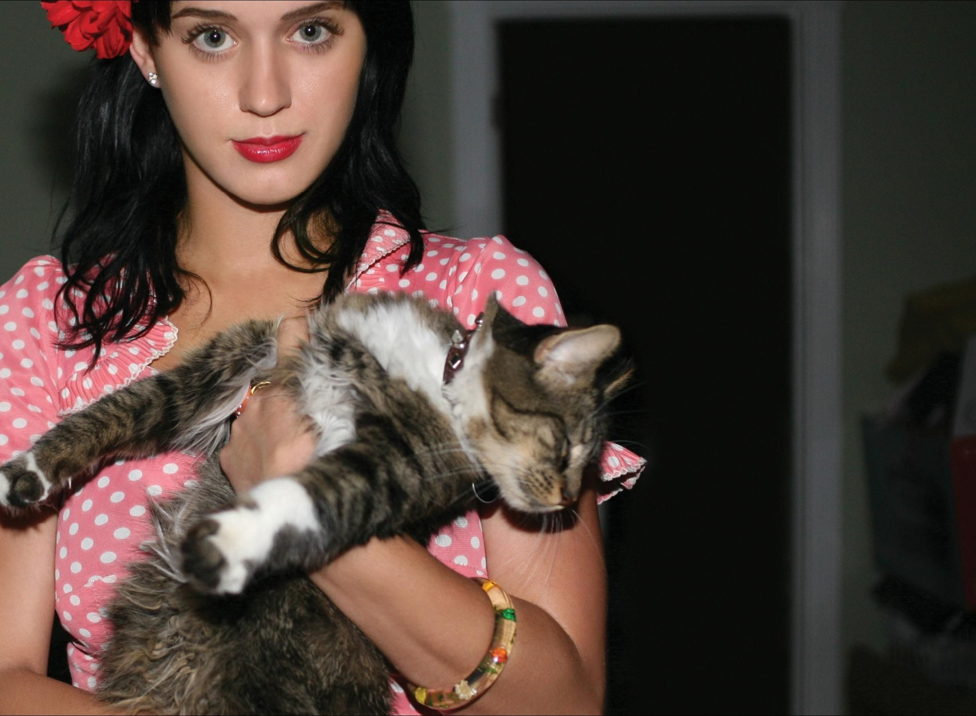 доджа кэт хот пинк. певица дожа кат. фото кэтнэпа. фото кэтнэпа. фото кэтнэпа.