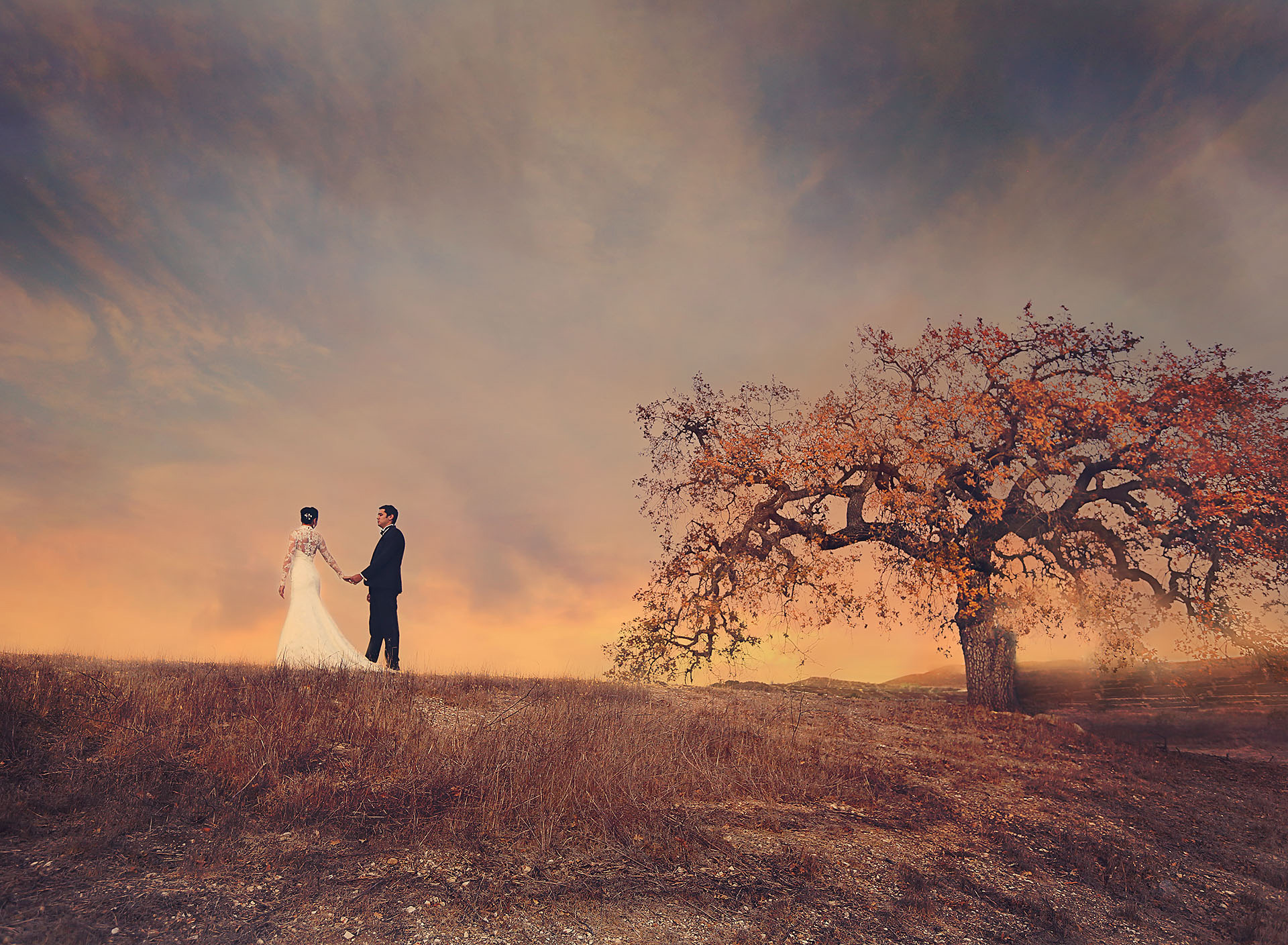 свадебная пара. свадьба во сне. видеть жениха во сне незамужней. приснилось во сне что невеста в свадебном платье. невеста во сне.