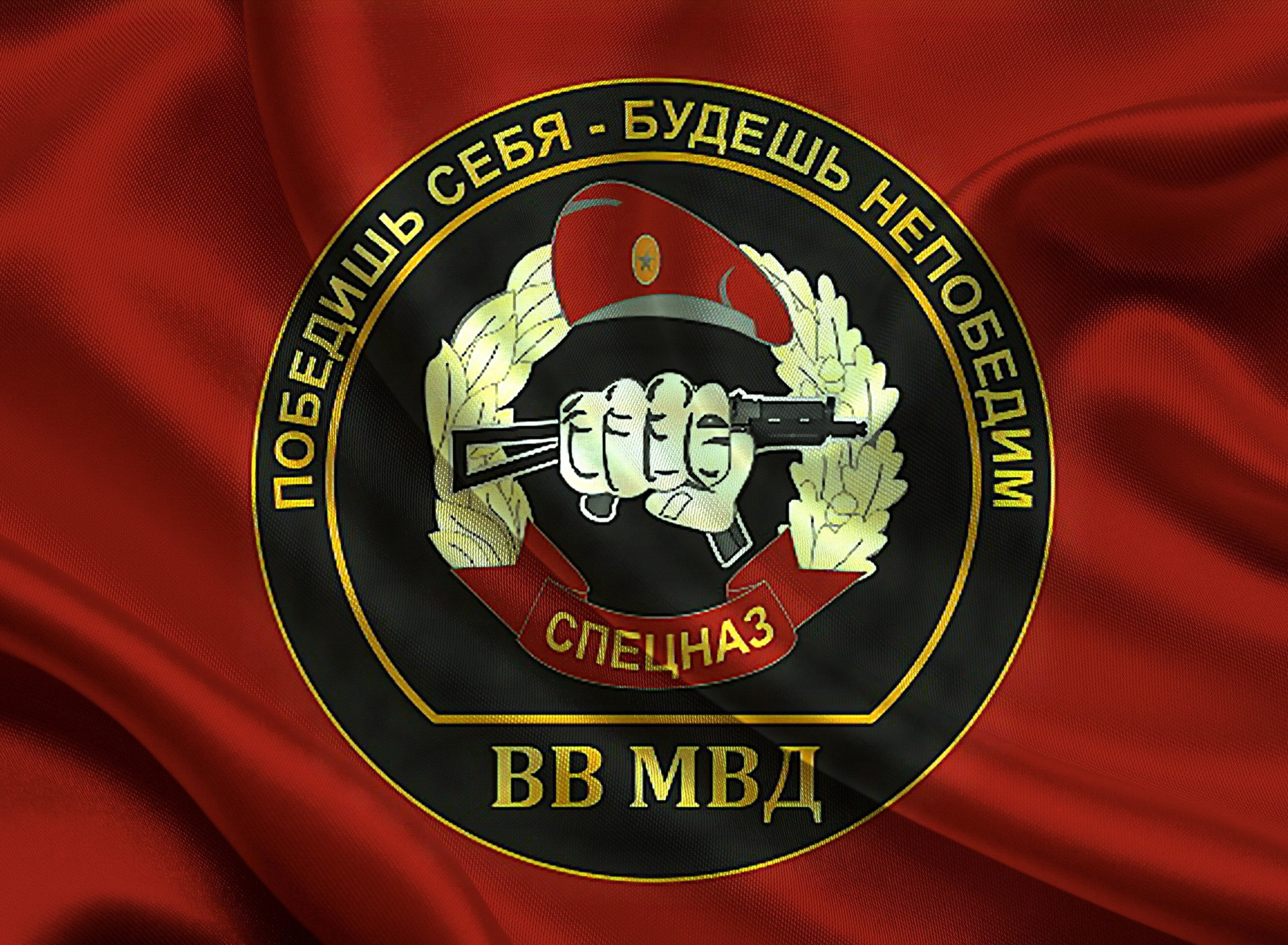 день вв мвд рф