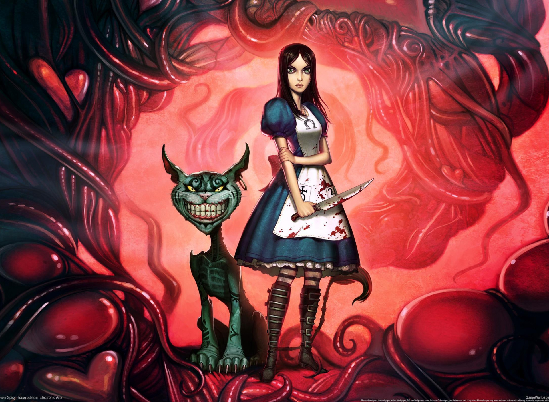 Alice mcgee. Alice Madness Returns Алиса. Алиса American MCGEE Madness Returns арт. Alice Madness Returns Алиса в безумии.