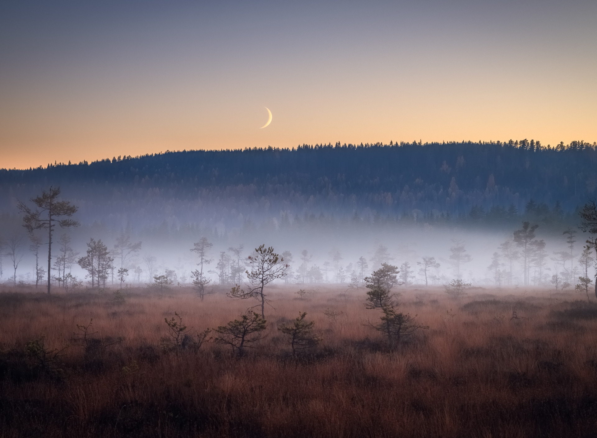 Луна туман песня. Поле в тумане. Тусклый пейзаж. Луна в тумане. Туман в поле ночью.