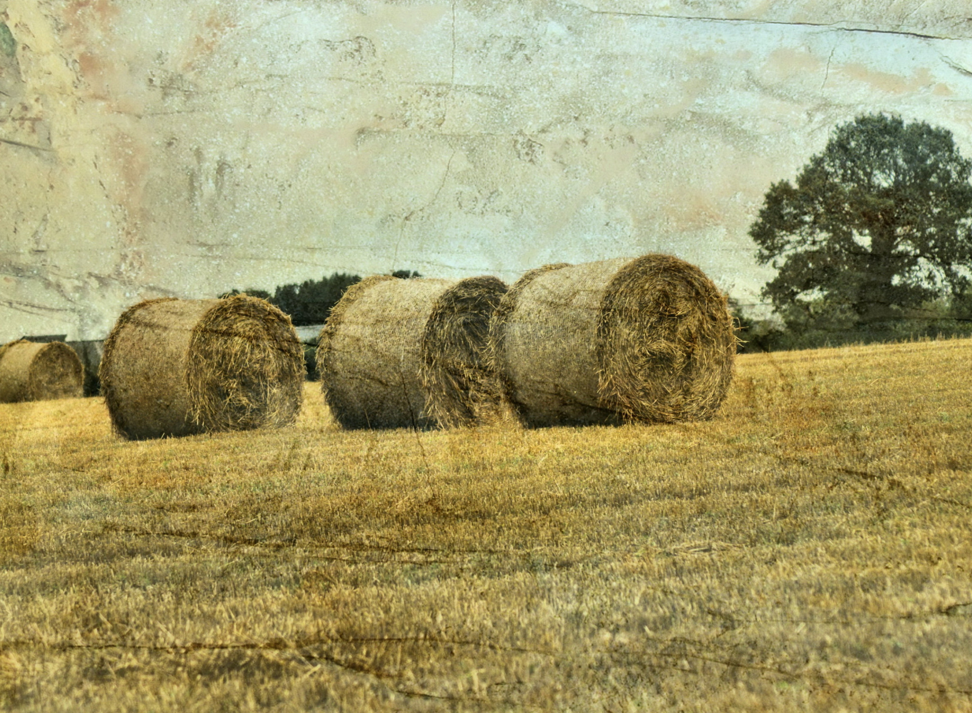 Презентация сено. «Пейзаж. Сена в Аньере» 1874 г.. Шишкин стога сена Преображенское. Поле сено. Поле со стогами сена.