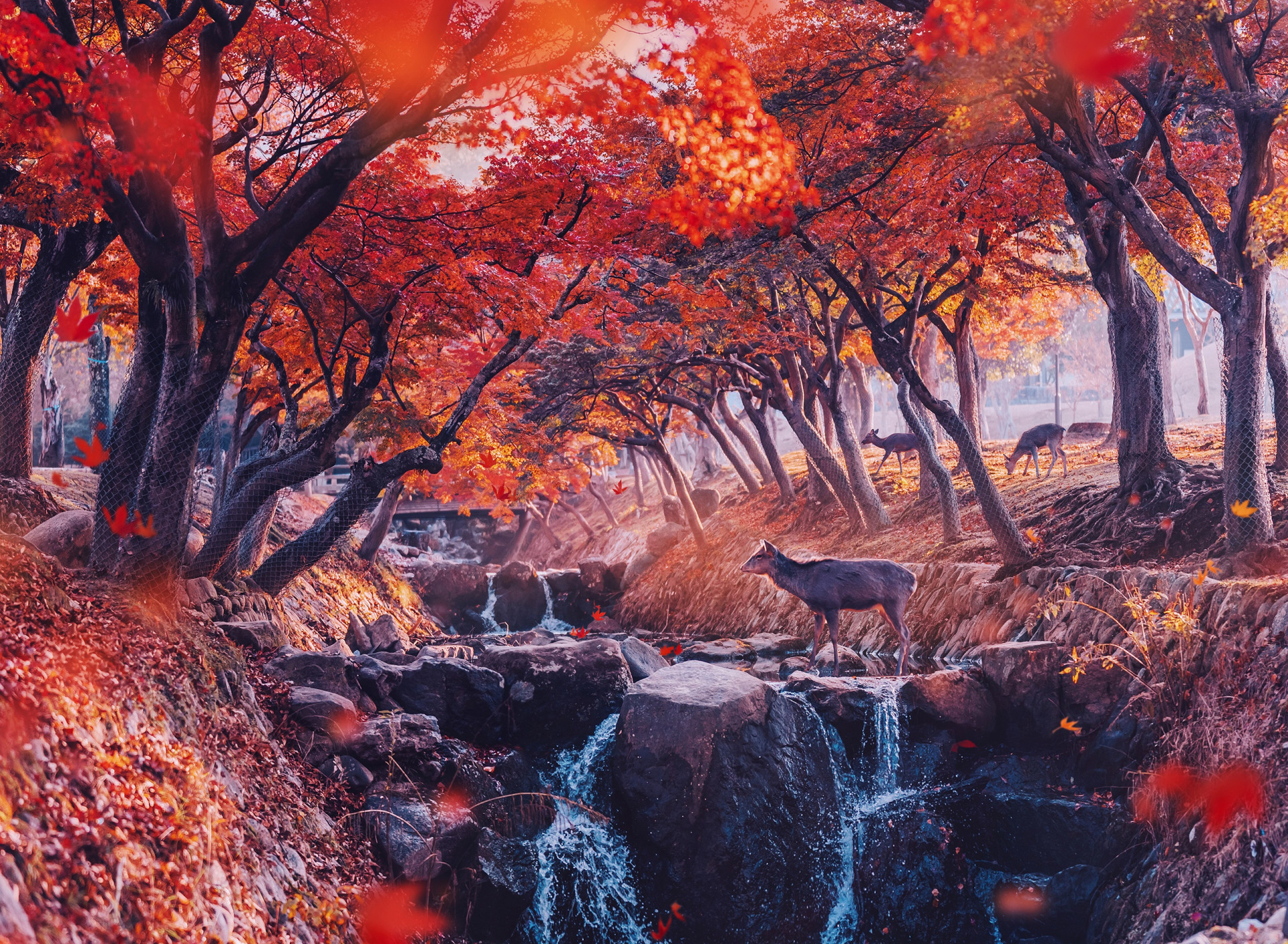 Невероятная осень. Осень арт. Картина осень. Обои осень. Осенний лес арт.