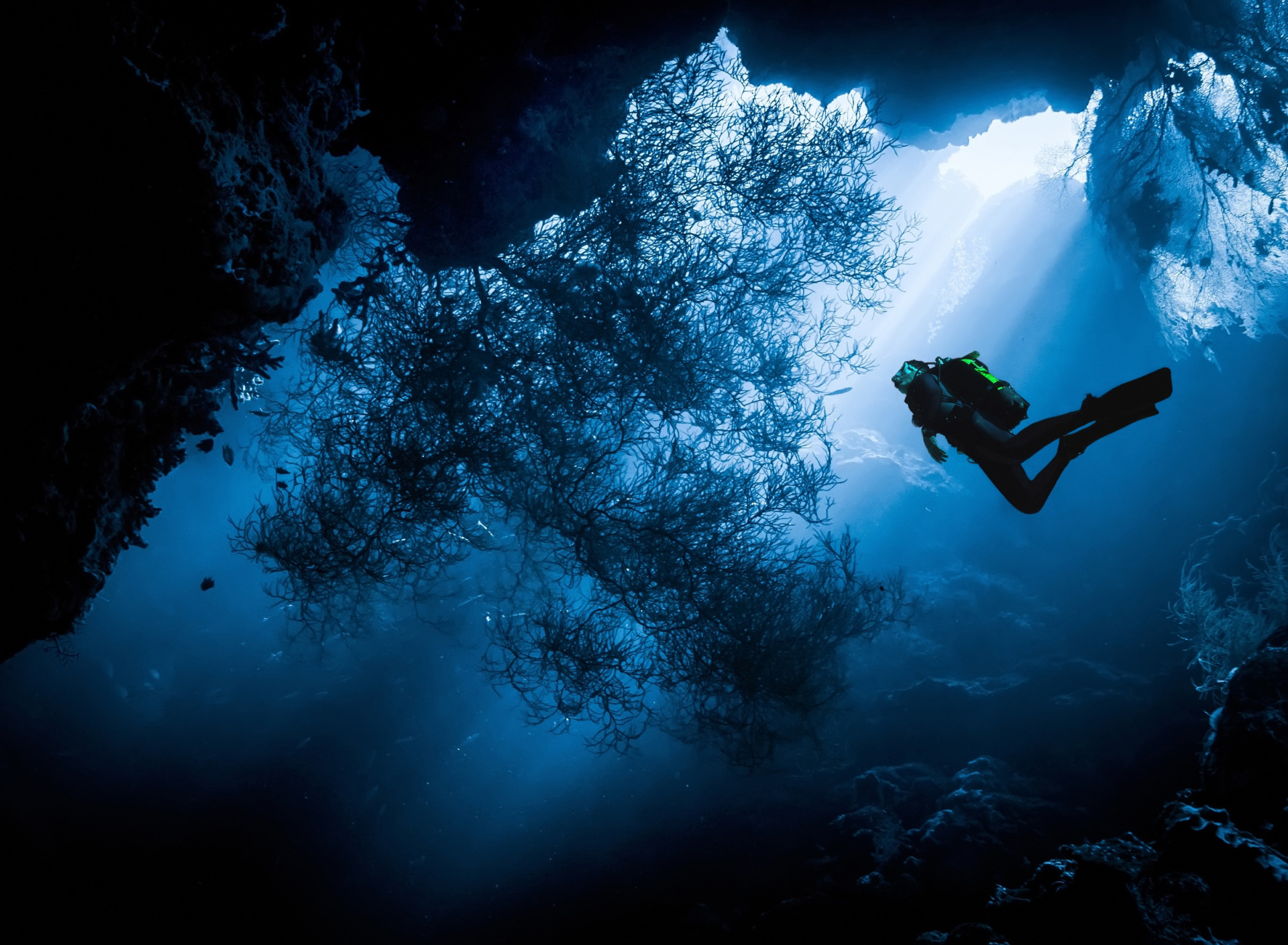 Мексика Сеноты дайвинг. Под водой. Глубина погружения. Океан под водой. На дне воздушного океана