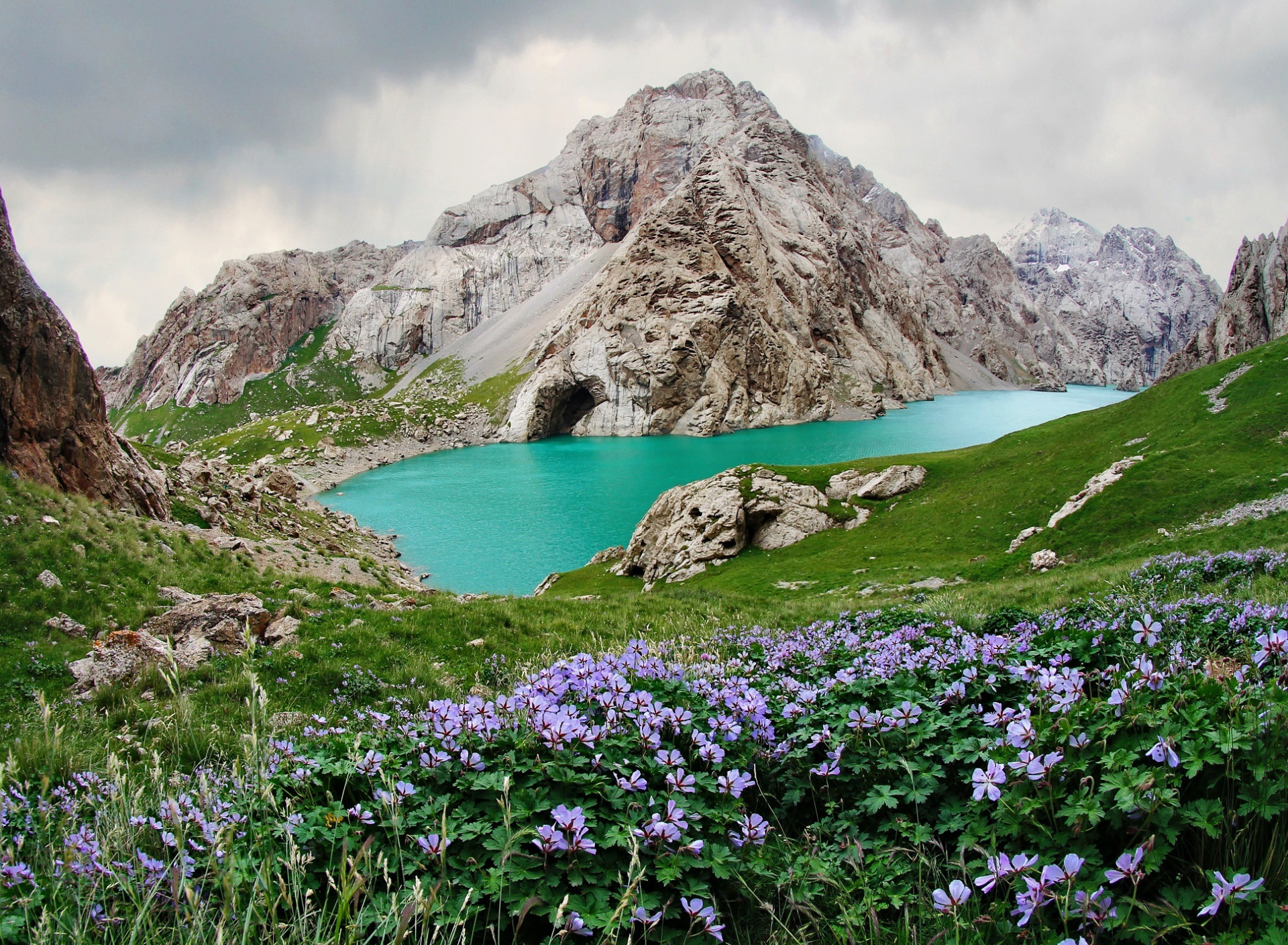 Таджикские цветы. Озеро Кель-Суу Киргизия. Природа Кыргызстана Кель Суу. Озеро Кель Суу. Узбекистан горы Арашан.
