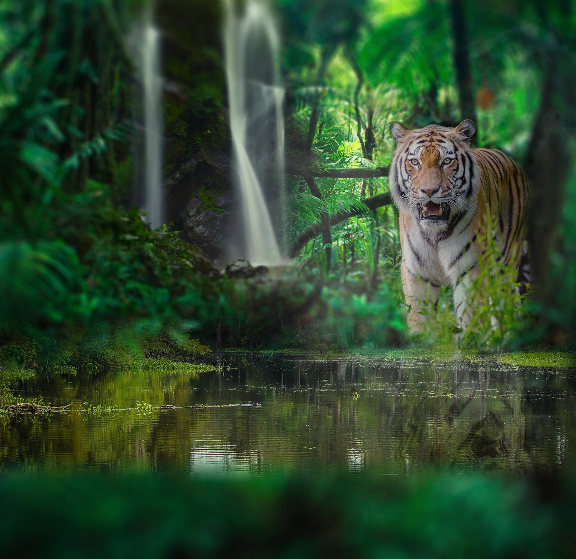 Jungle tiger. Тигр в джунглях. Тигр в тропиках. Тигр у водопада. Тигры красивые у водопада.