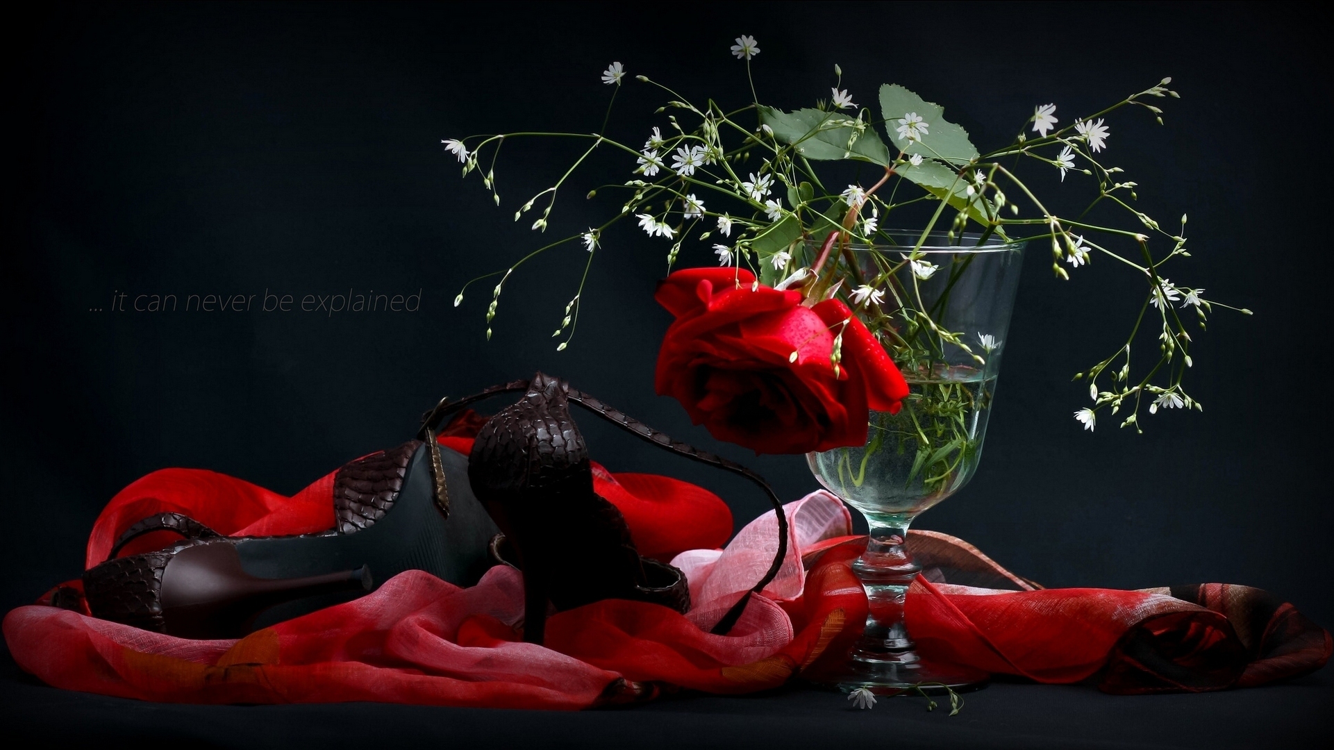 цветы, роза, туфли, ваза, платок