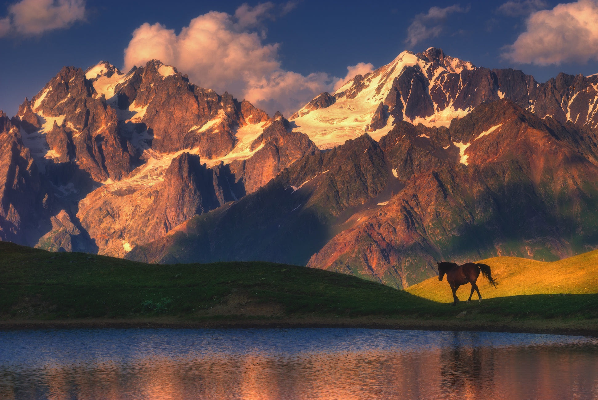 лошадь в горах кавказа