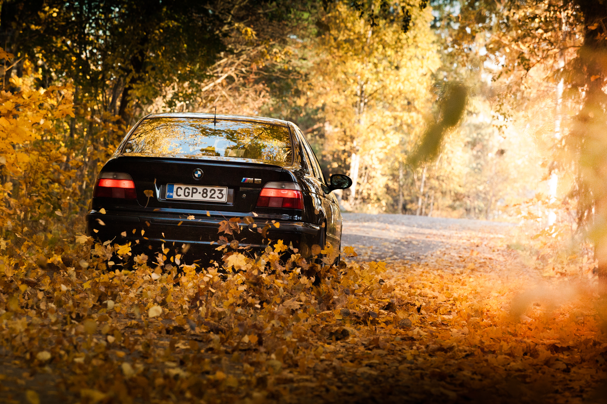 Едем по дворам. BMW e39 осень. BMW e39 Rally. BMW e39 Offroad. БМВ е34 осень.