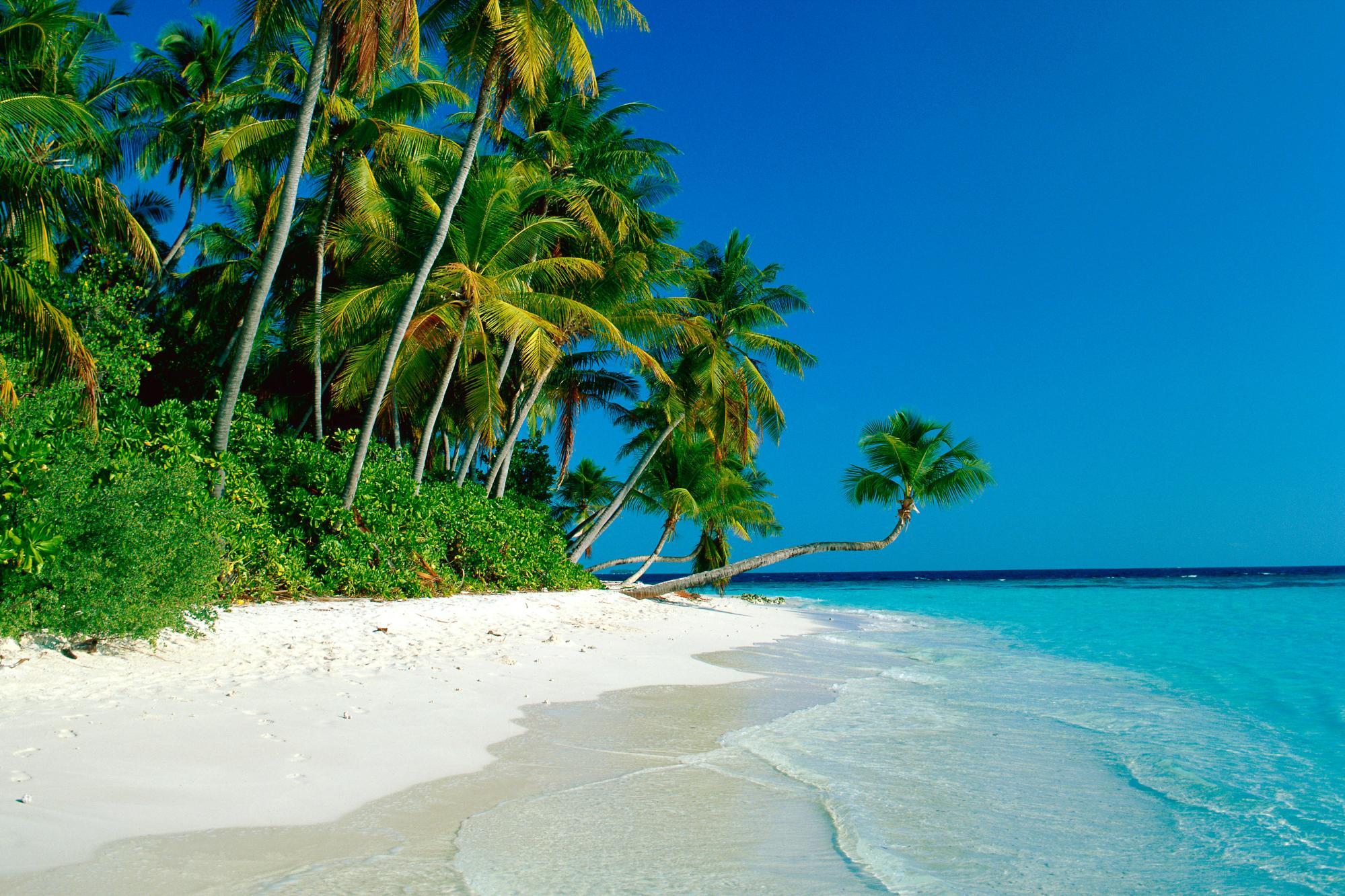 Beach photo. Парадиз остров Карибского моря. Карибское море пляж Баунти. Гоа пляж Баунти. Райский пляж.