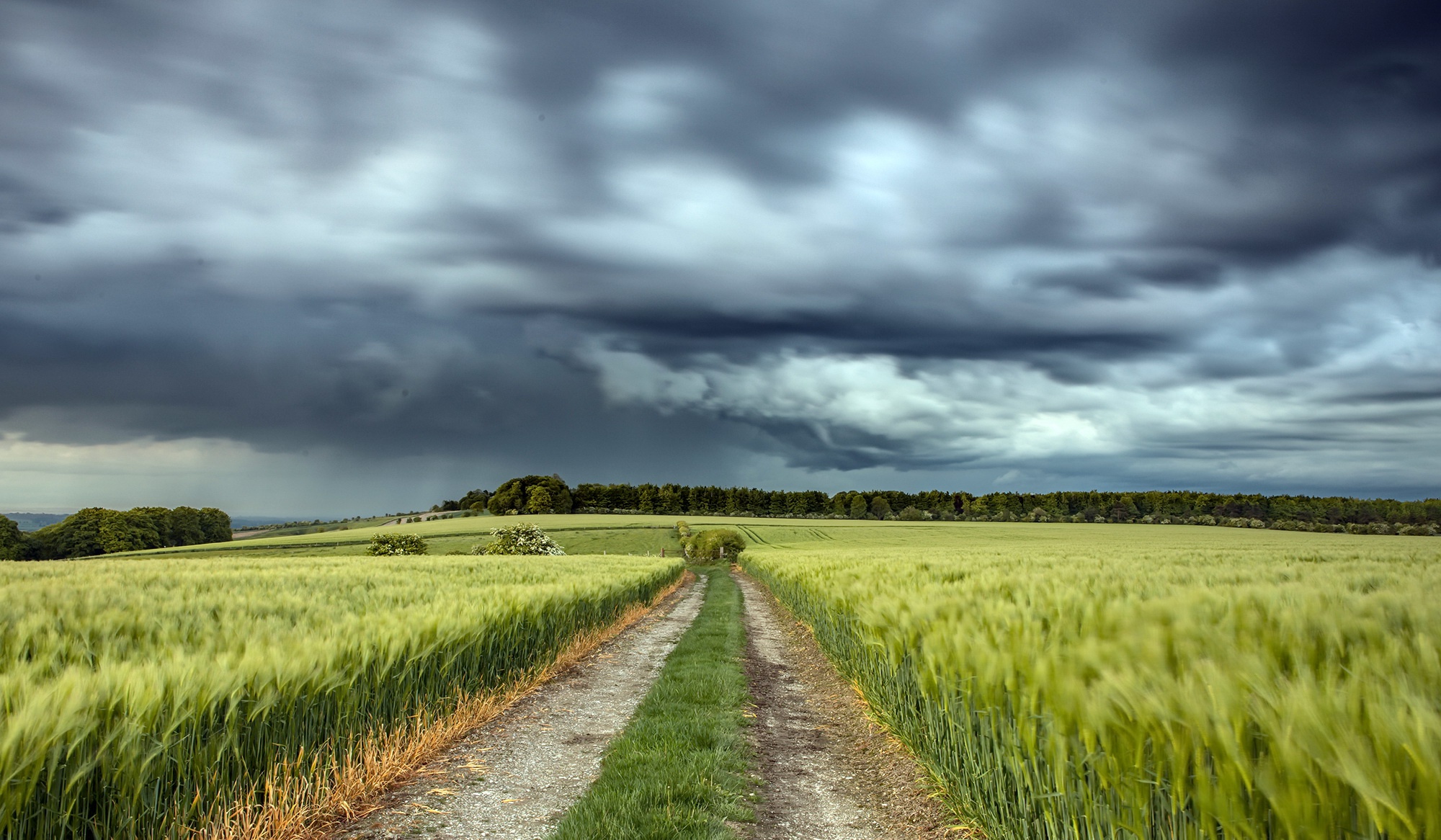 Field roads. Дорога в поле. Поле небо. Пшеничное поле с дорогой. Дорога в пшеничном поле.