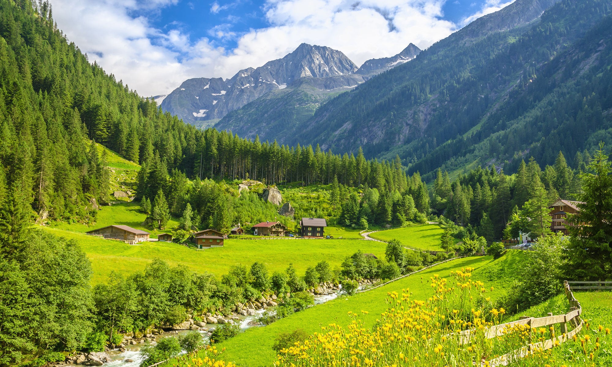 альпийские луга в швейцарии