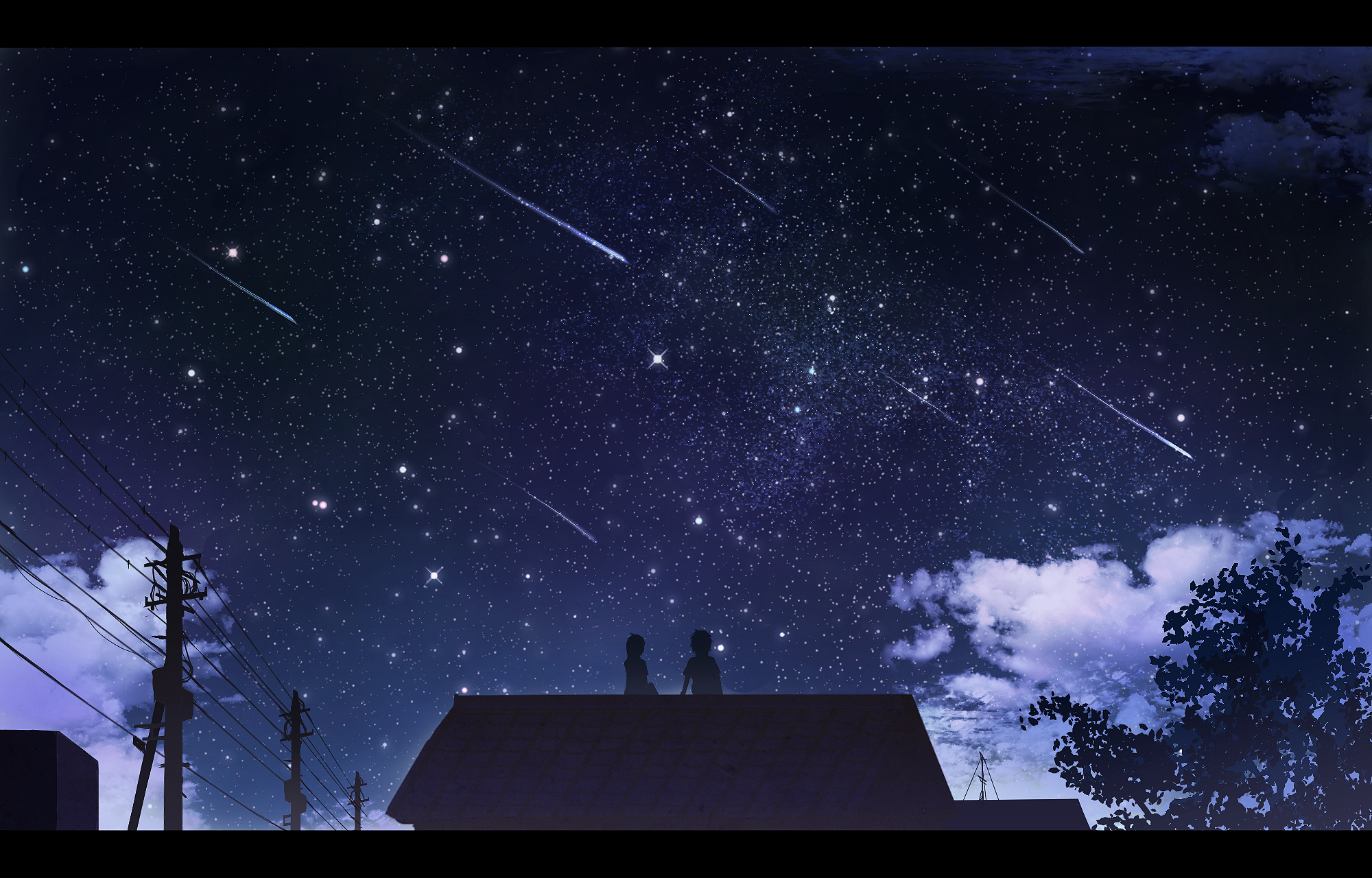 Белорусский под звездопадом. Ночное небо. Звезды над домом. Звезды на ночном небе.
