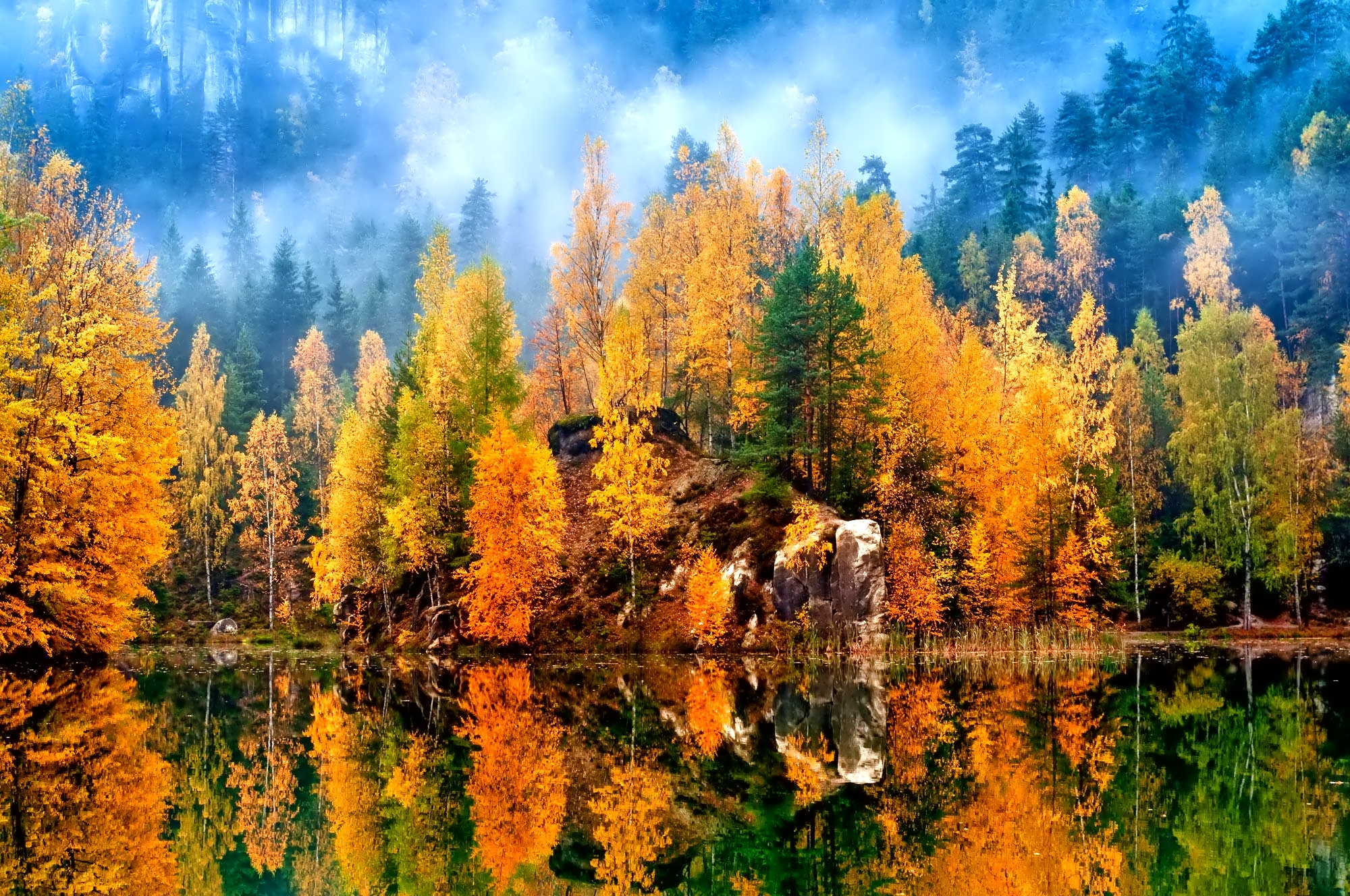 Виды осеннего леса. Осенний лес. Осень в лесу. Лес осенью. Красивая осень.
