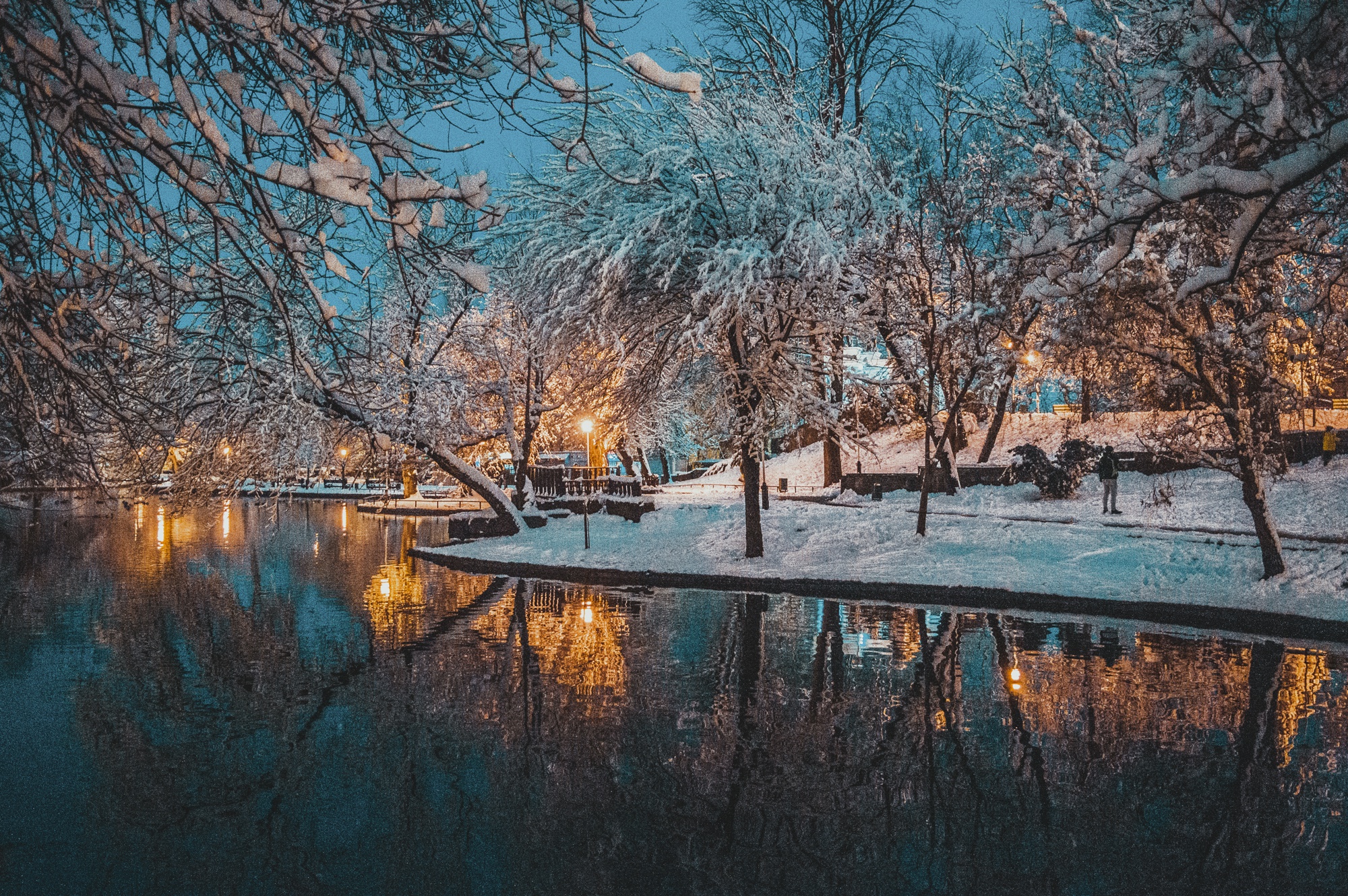 зимний вечерний парк