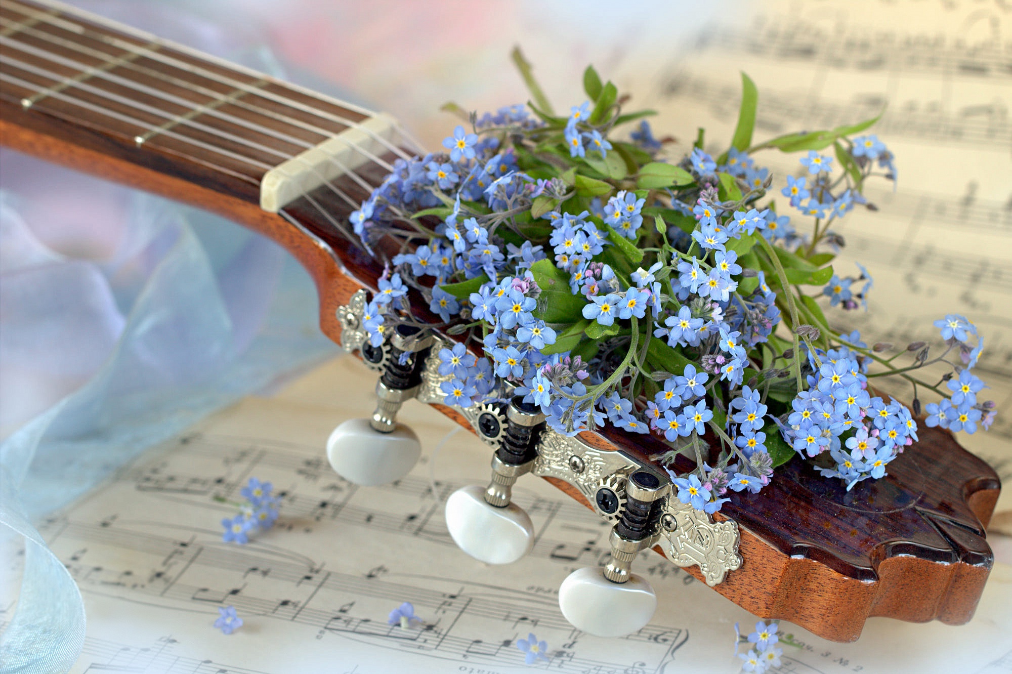 Ноты незабудка. Музыкальный букет. Весенняя мелодия. Красивый фон с нотами и цветами. Ноты и цветы.