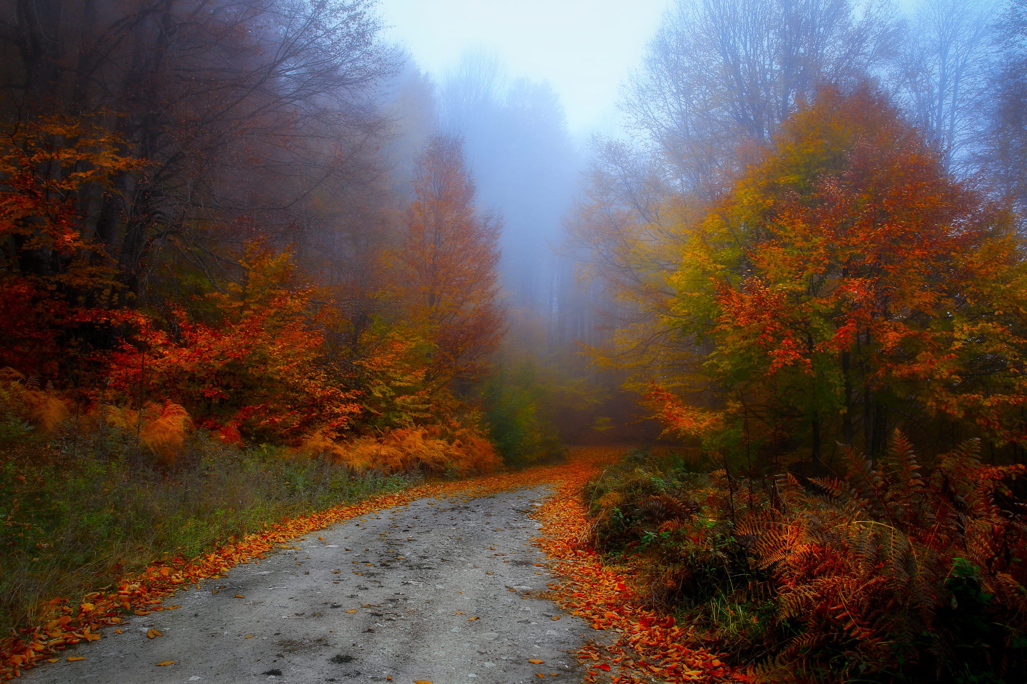 Great Smoky Mountains Золотая осень