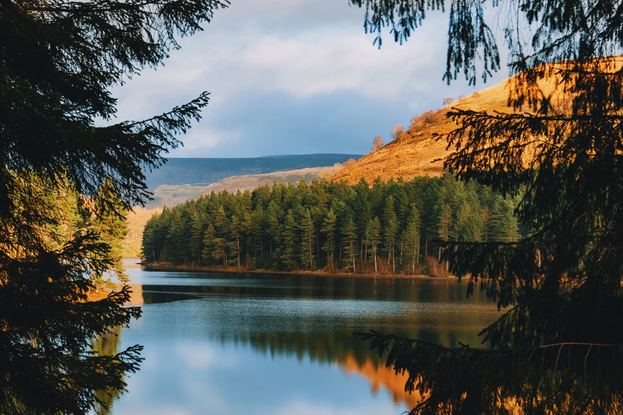 Страницы природы. Daniel Casson фотограф. Картинки 900 на 1200 мм. Картинки для обложки канала в рутуб Уральская природа Разное.