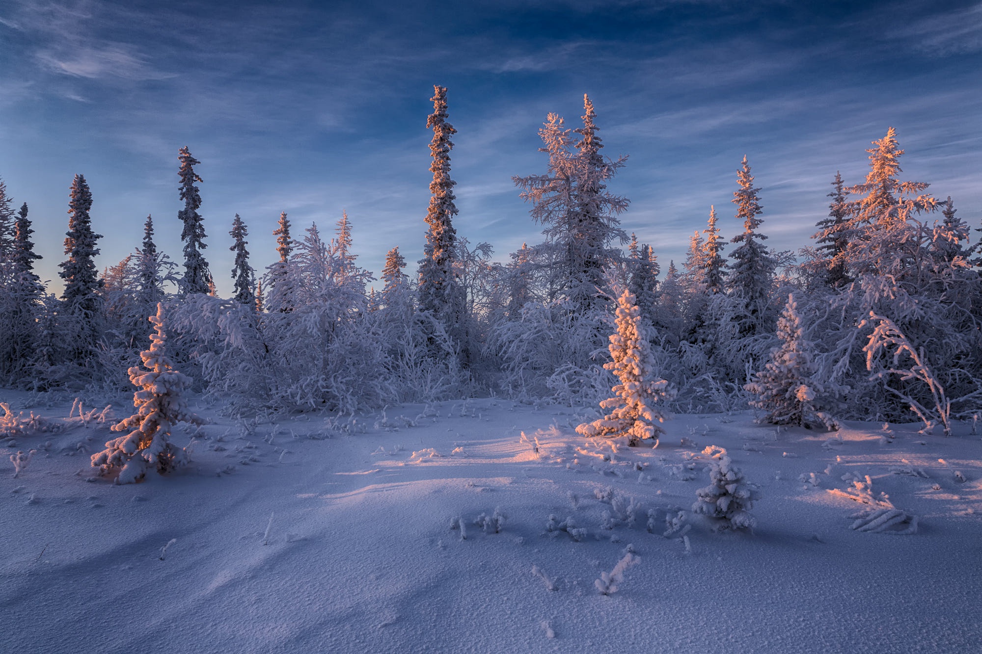 Географическая зима. Сибирская тундра зимой. Природа севера. Пейзажи Сибири. Зимняя красота.