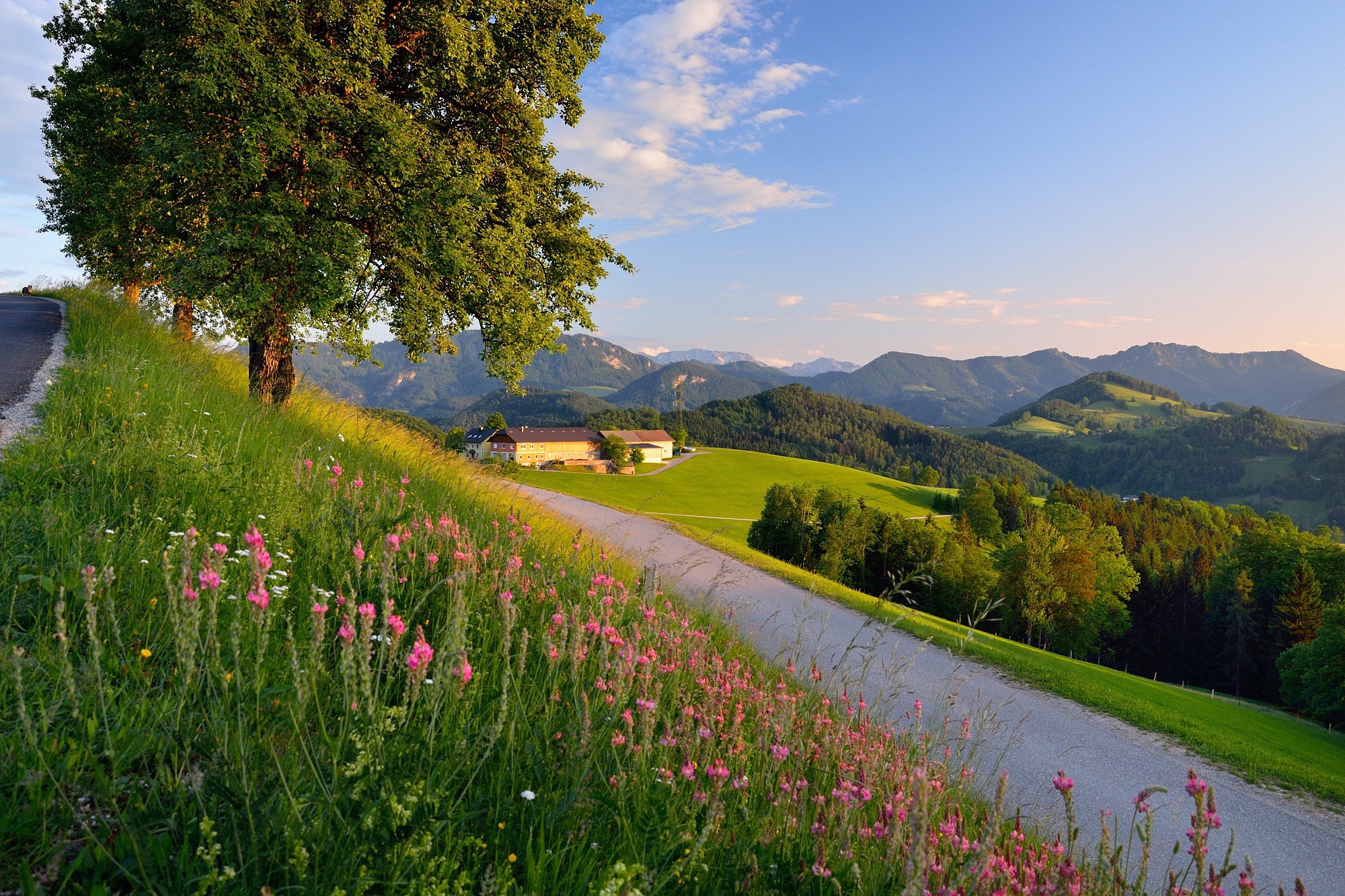 Germany summer. Бавария Германия природа. Ландшафт Германии. Бавария город природа. Природа провинция Германии.