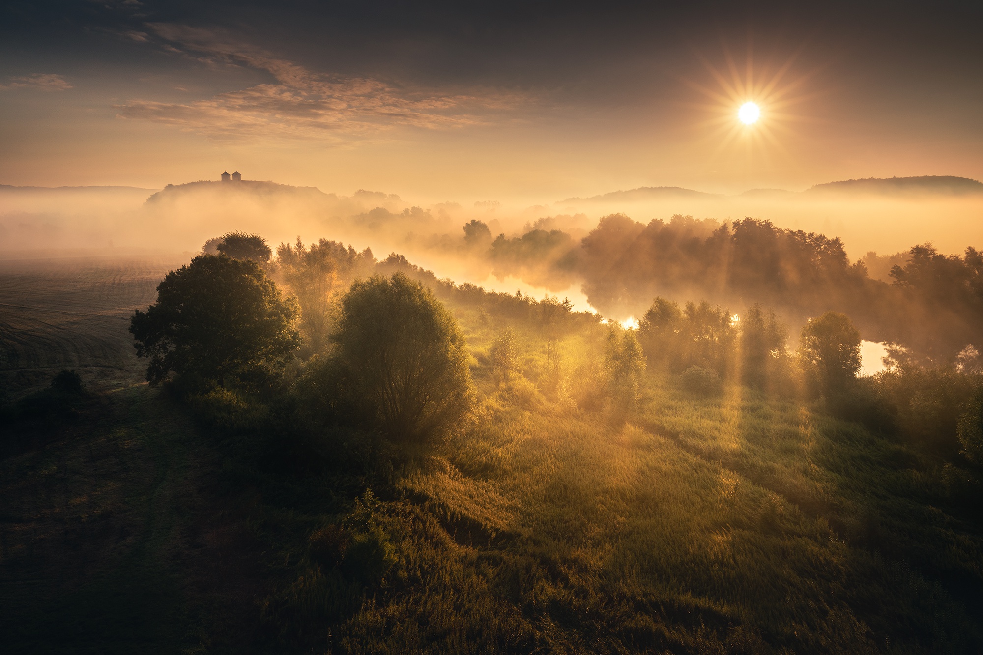Солнце над лесом. Фотограф Karol Nienartowicz. На Восходе солнца. Рассвет туман. Солнце в тумане.