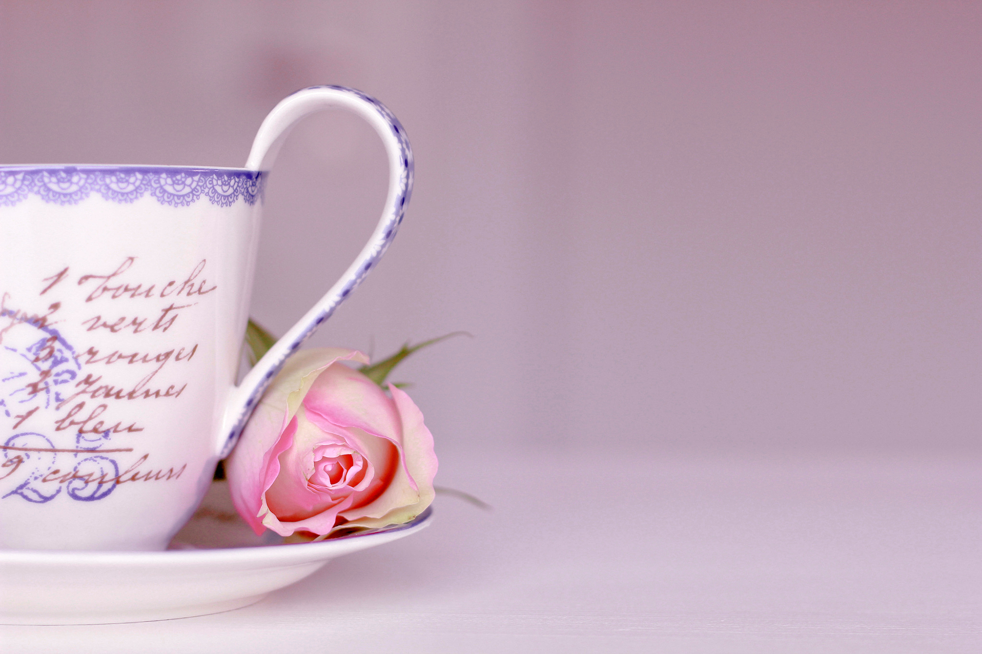 Фон доброго дня. Красивые чашки. Красивые цветы в чашке. Красивые кружки для чая. Цветы в кружке.