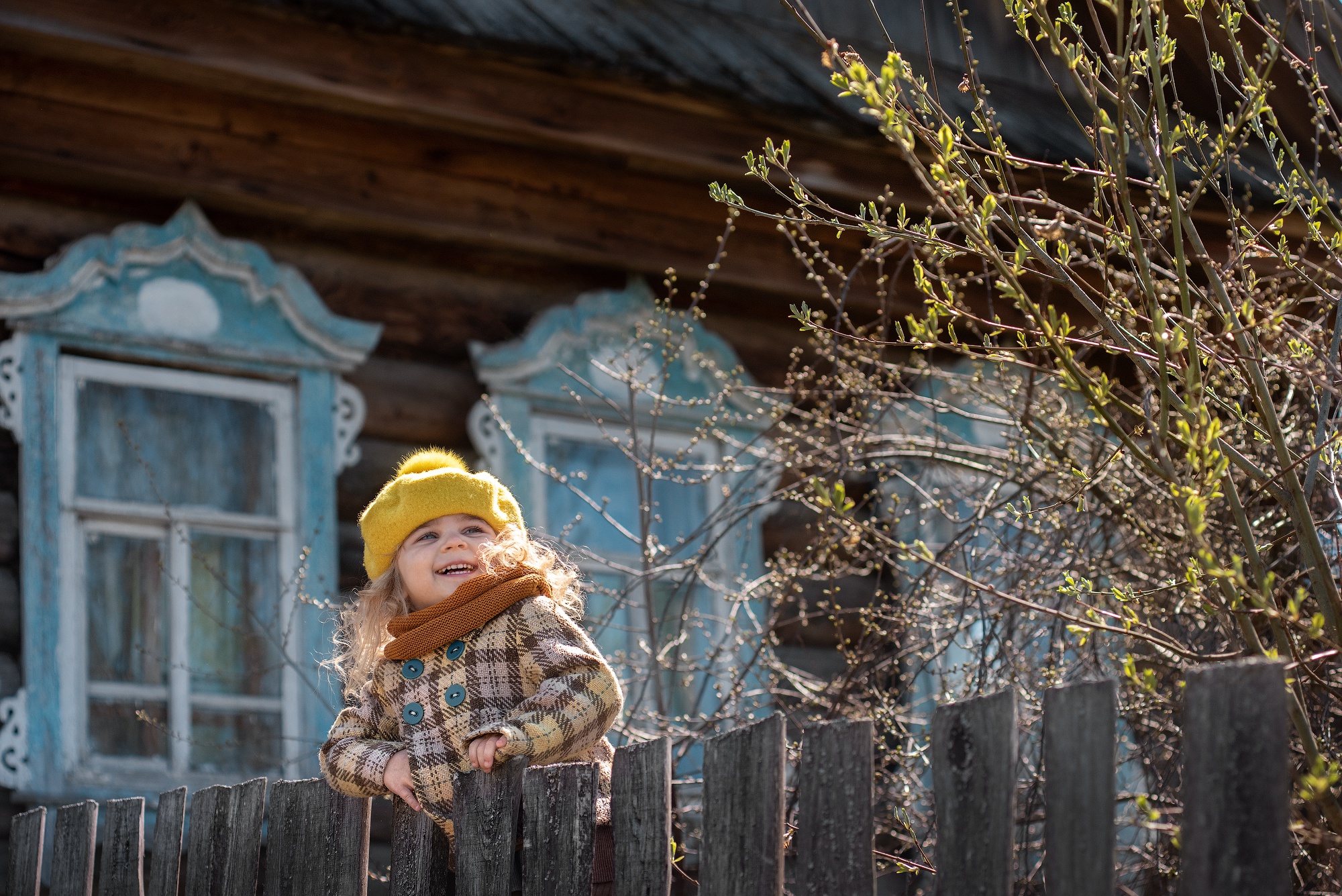 Радость в дом приносит. Фотограф Татьяна Краснова. Фотограф Татьяна Дедова Киров. Фотограф Татьяна Черкашина. Дом Медведева забор.