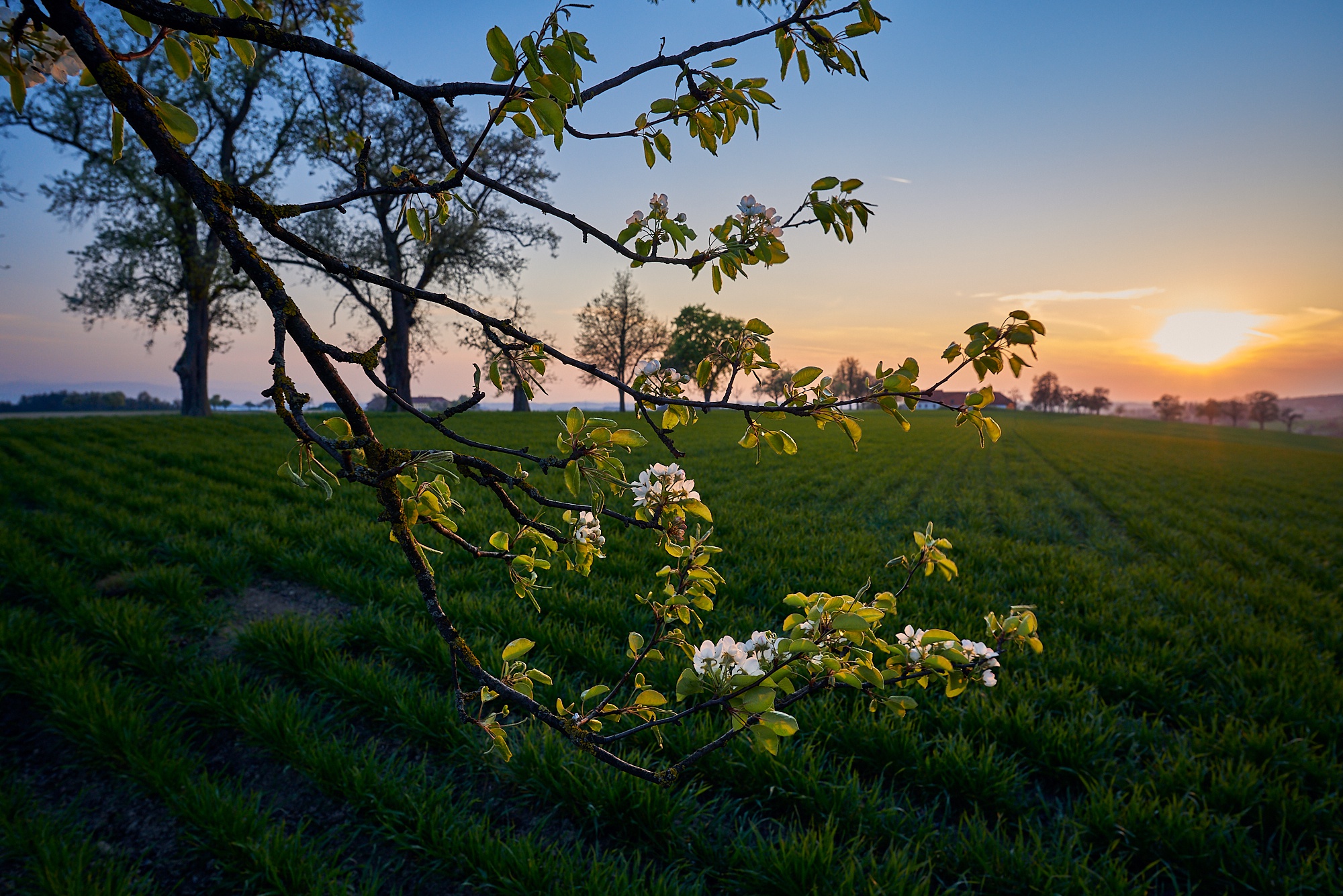 Картинки утро природа весна