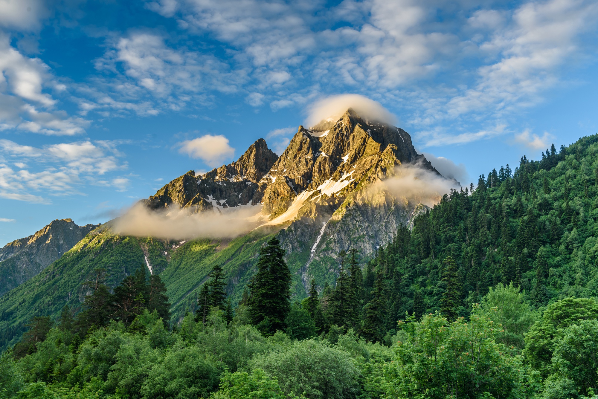 лес в горах кавказа