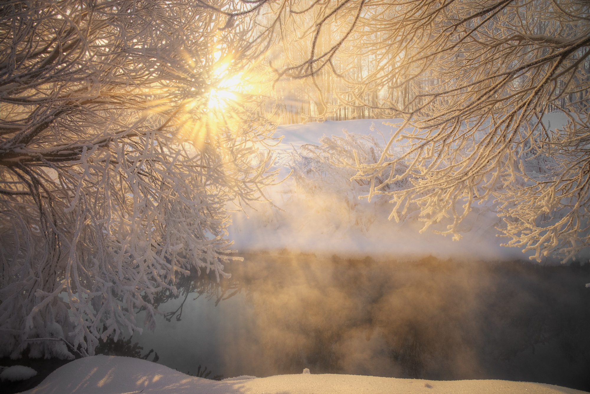 Зимнее утро. Фотоработы Эдуарда Гордеева зима. Эдуард Гордеев зима. Красивое зимнее утро.