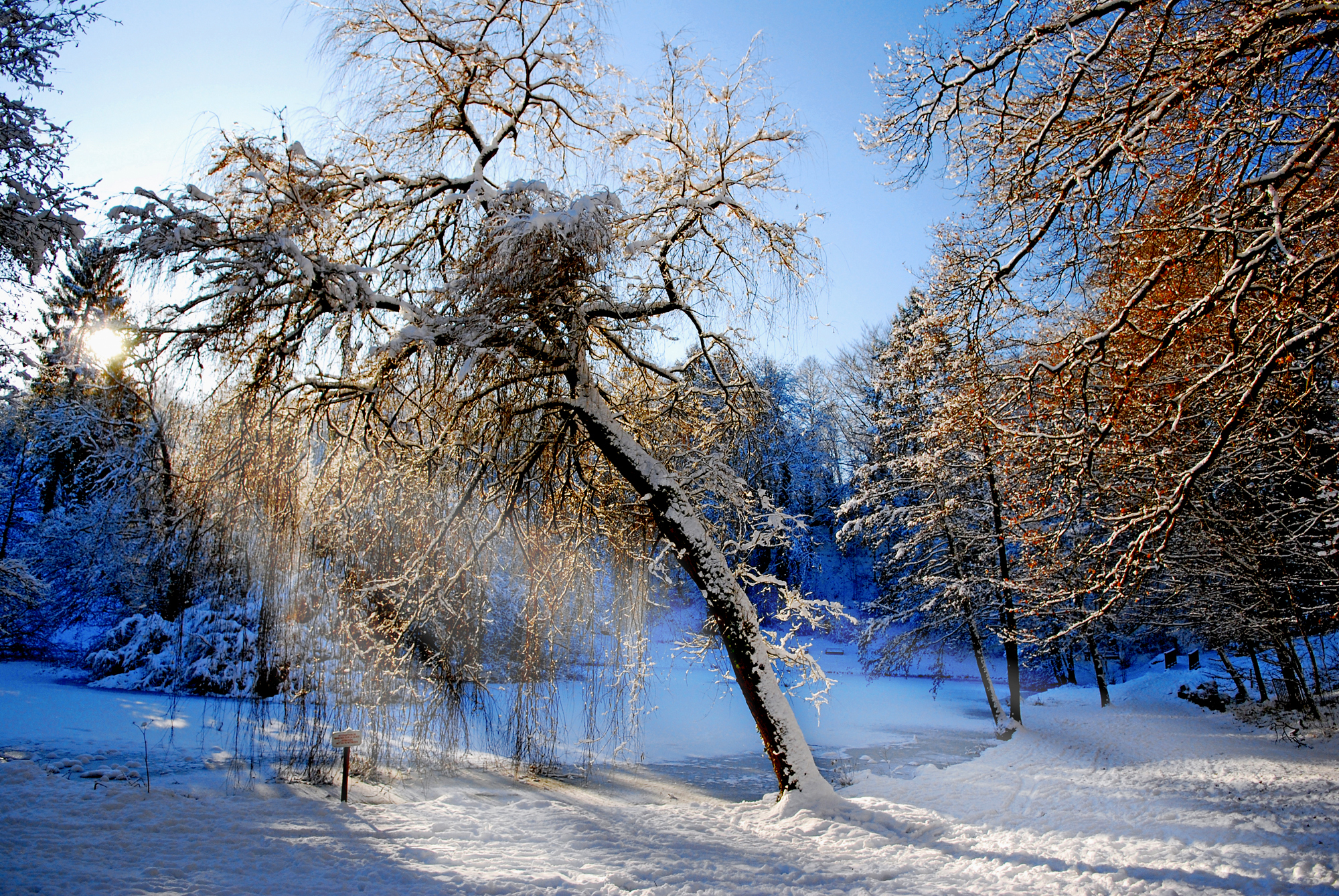 Зима. Зимний пейзаж. Зимний лес. Красивая зима. Зима фото красивые.