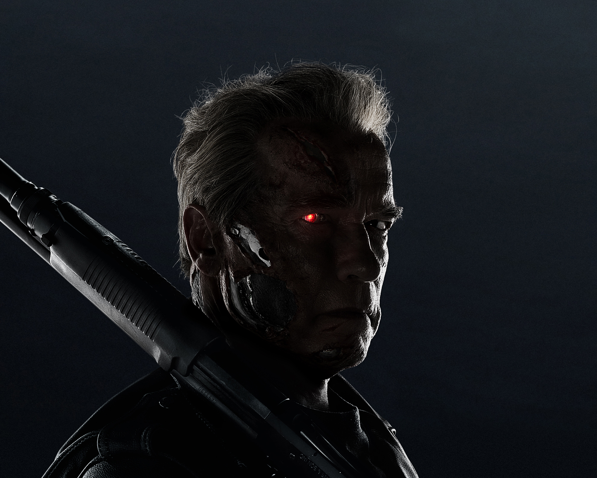 Обои Action, Red, Gun, Darkness, Robot, Wallpaper, Weapon, Arnold  Schwarzenegger на телефон и рабочий стол, раздел фильмы, разрешение  2000x1600 - скачать