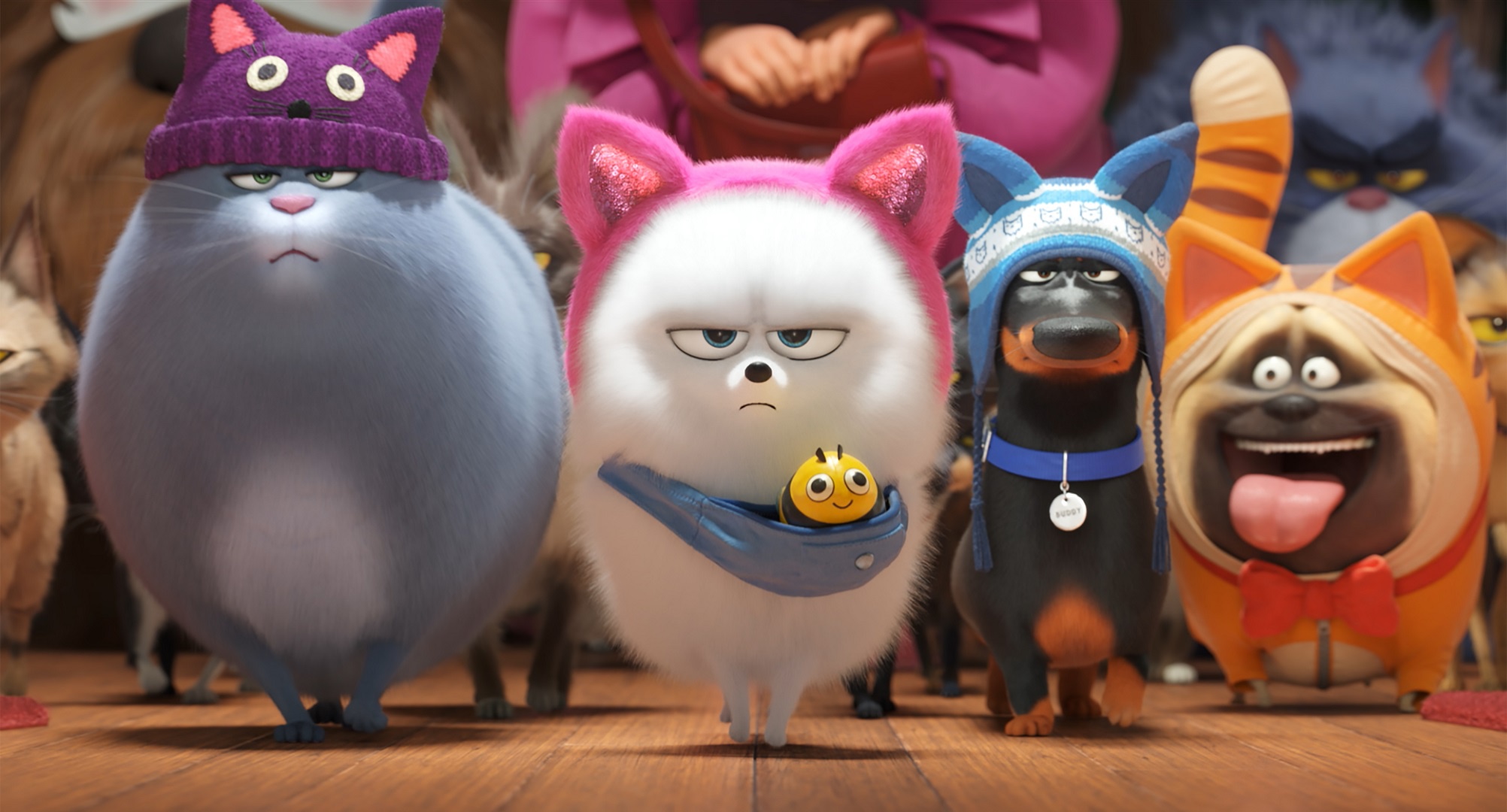 Обои животные, Тайная жизнь домашних животных 2, The Secret Life of Pets 2  на телефон и рабочий стол, раздел фильмы, разрешение 2004x1080 - скачать